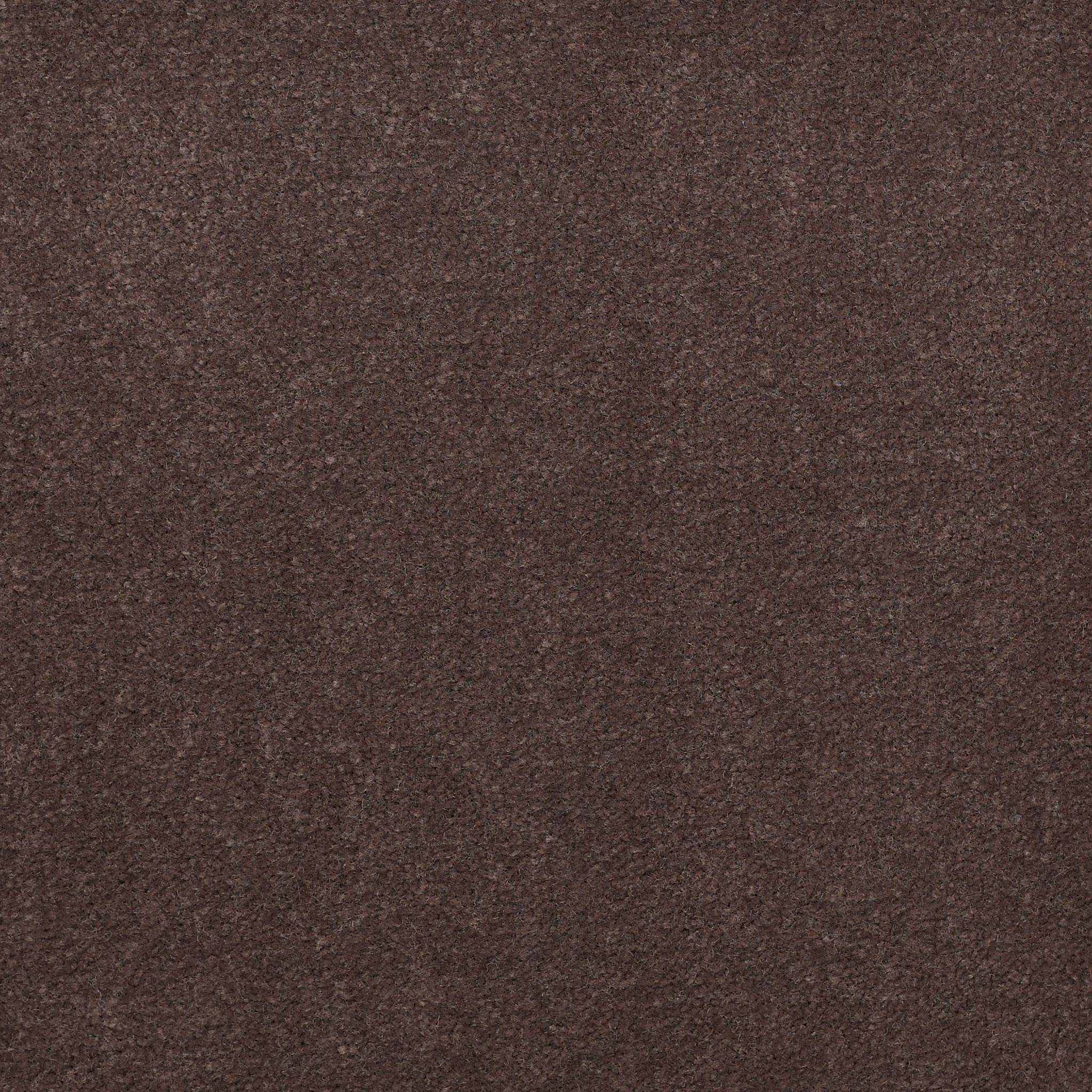 EMPHATIC-II-36-54256-RAISIN-56726-main-image