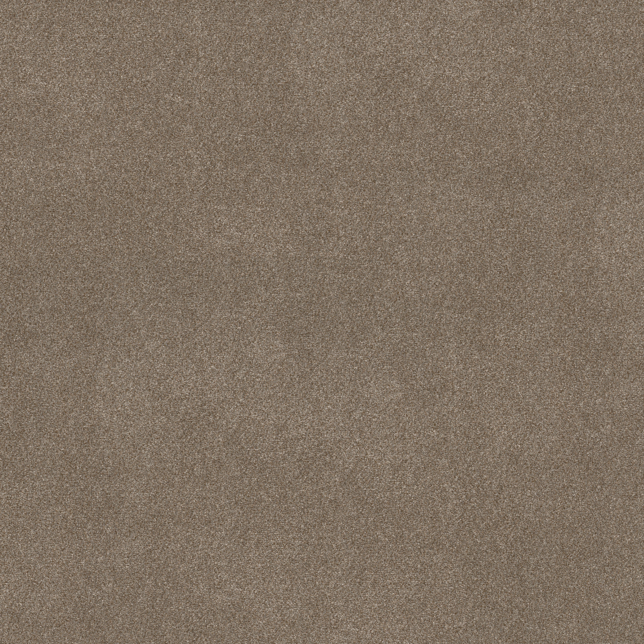 WITHOUT LIMITS III SANDBANK MAIN