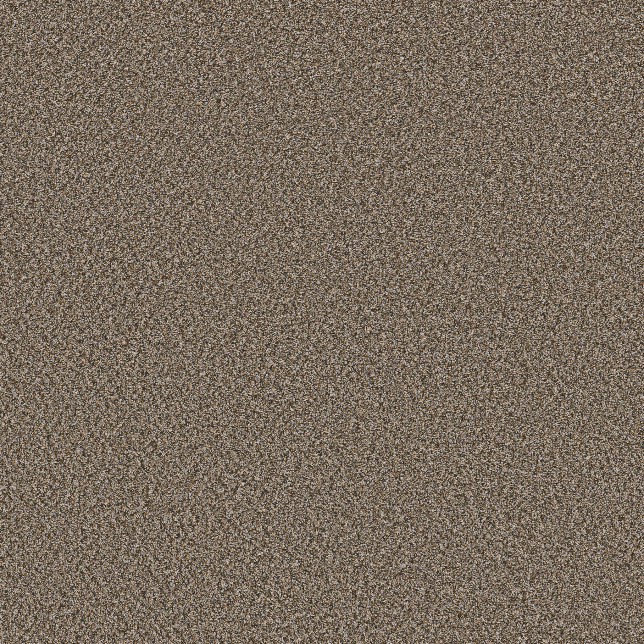 SOFT RADIANCE MOCHA LATTE' MAIN