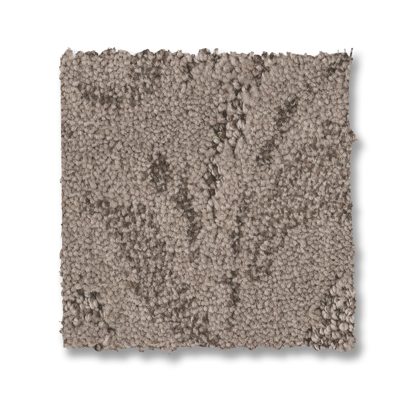 CHARISMATIC TOASTY GRAY SWATCH