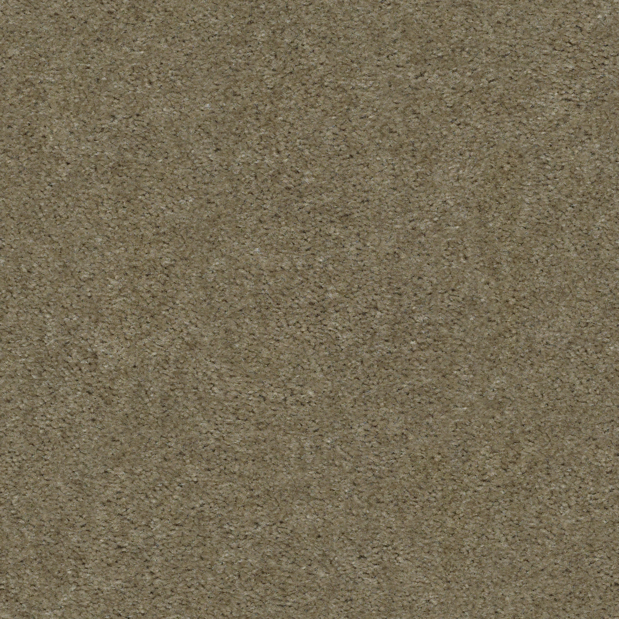 LET'S RACE CREEKSIDE MAIN