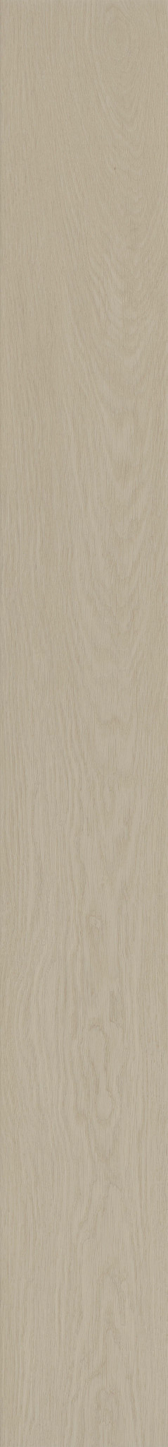 DELICATE OAK 1TO1