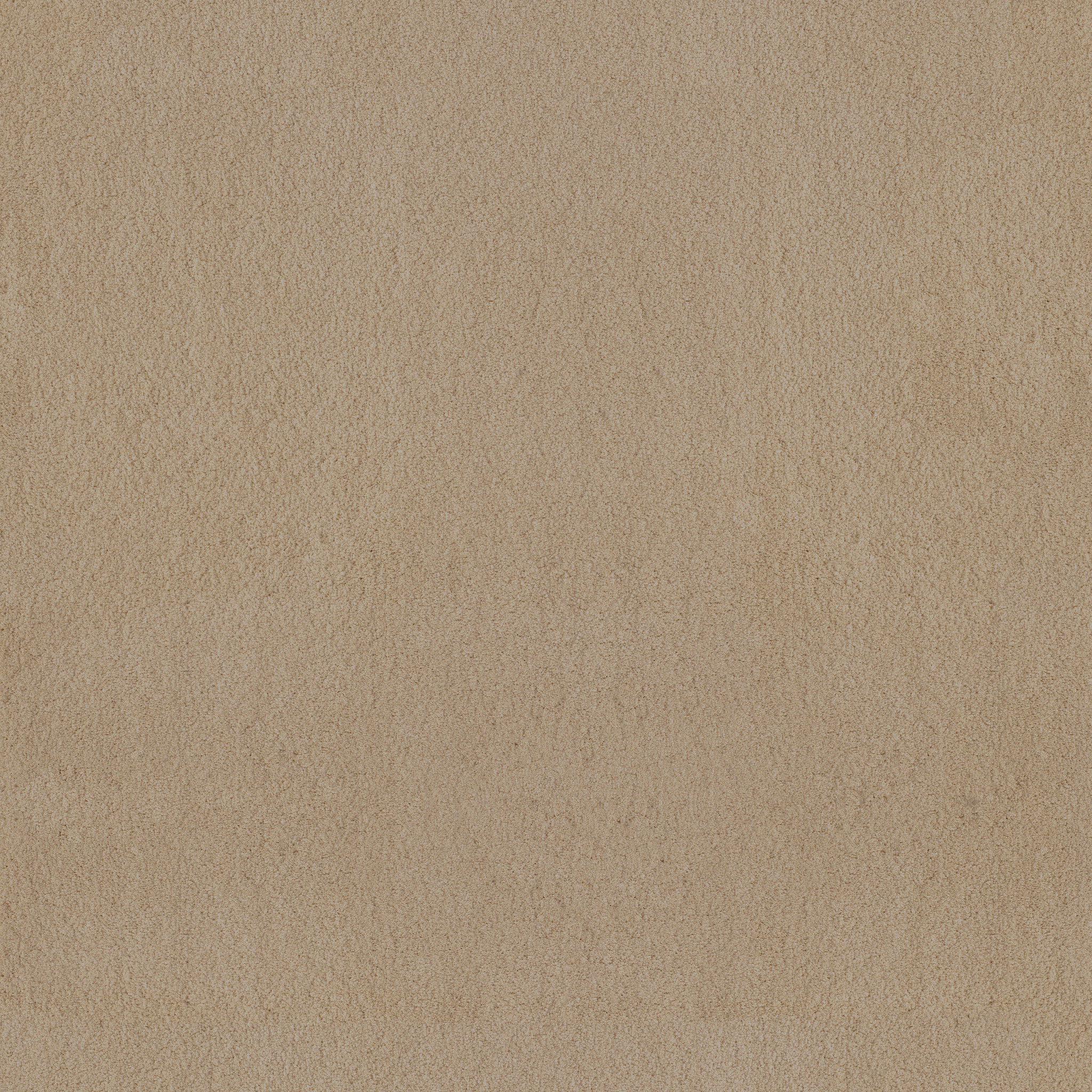 LUXE FEEL I GENTLE DOE MAIN