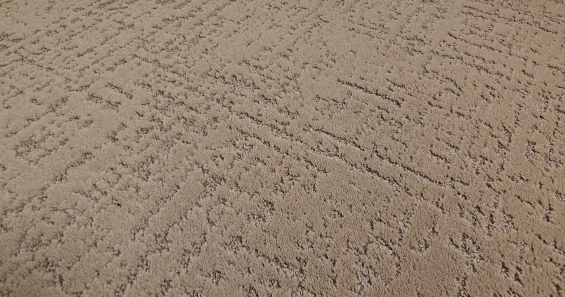 SINCERE FOCUS CANOE 360PROD