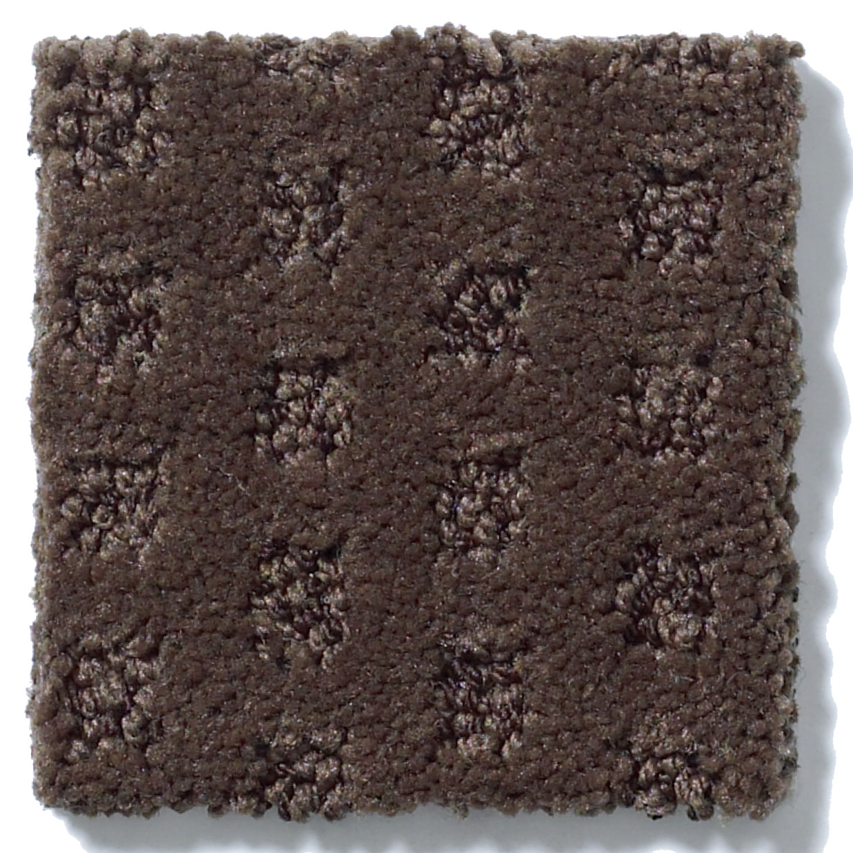 THE ARTS BISON SWATCH