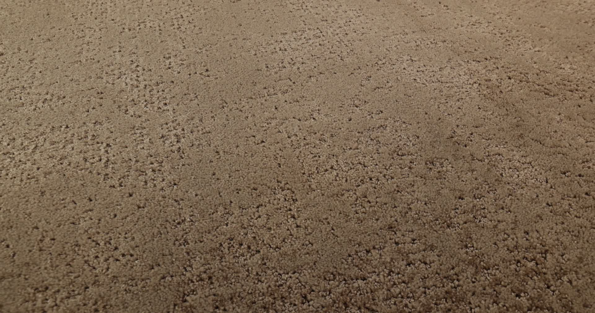 ARTISTIC PRESENCE RAW WOOD 360PROD