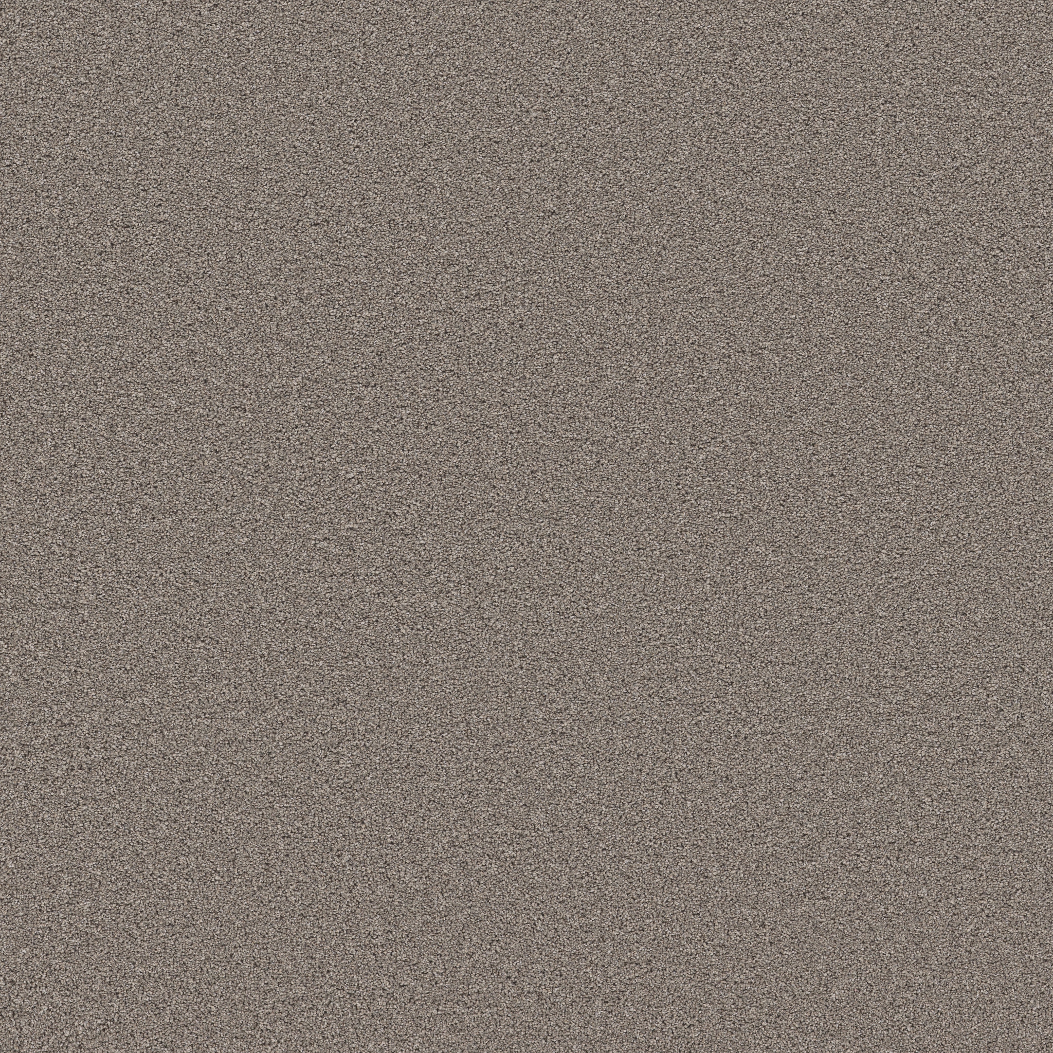 WONDERLAND III 12' CREEK BED MAIN