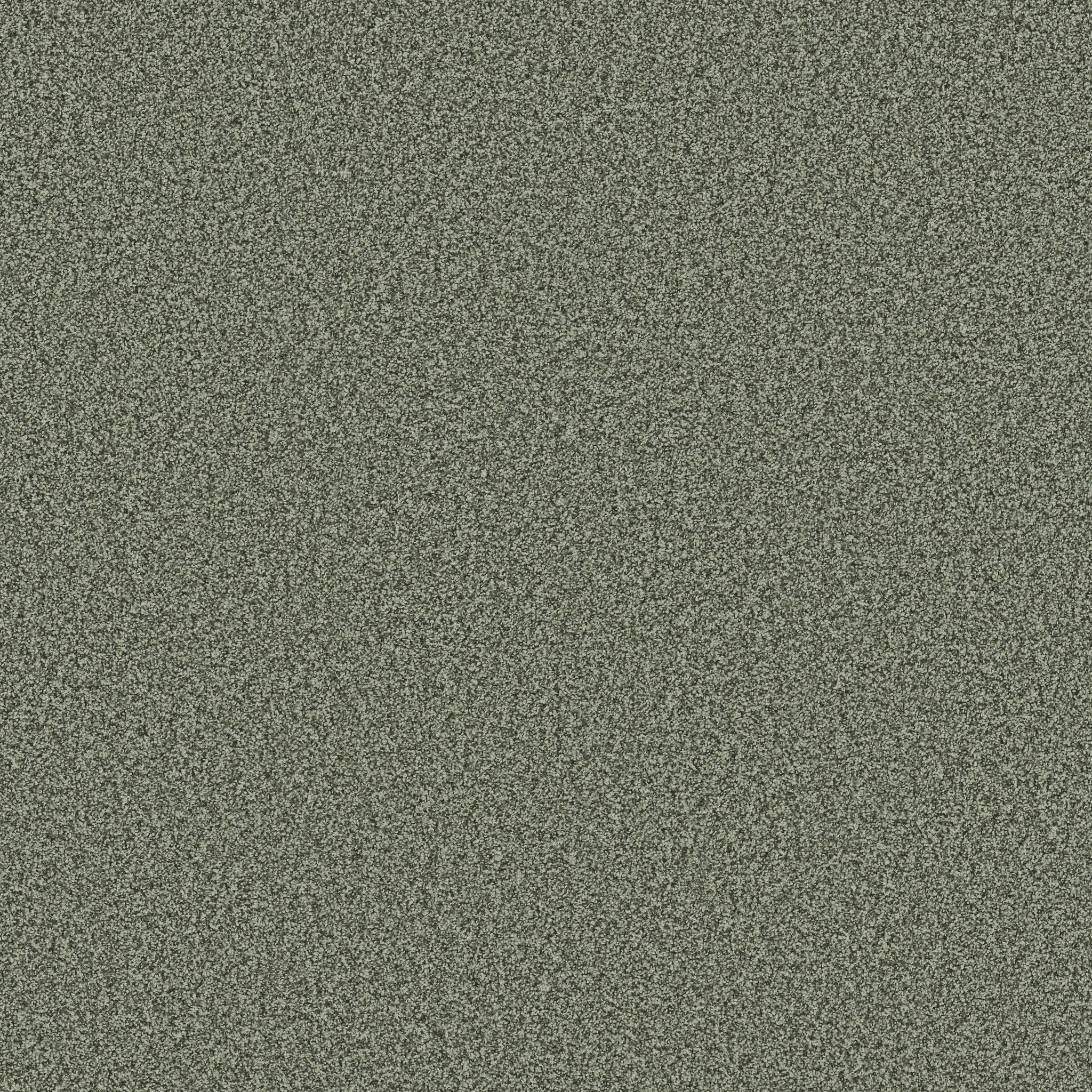 BELLA NOVA OAK GROVE MAIN