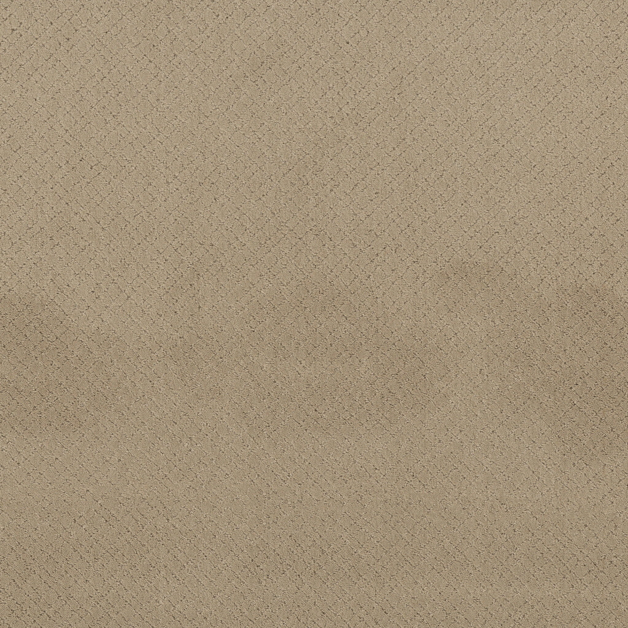 Mosaic - 100% Nylon in Oak Ridge | AndersonTuftex