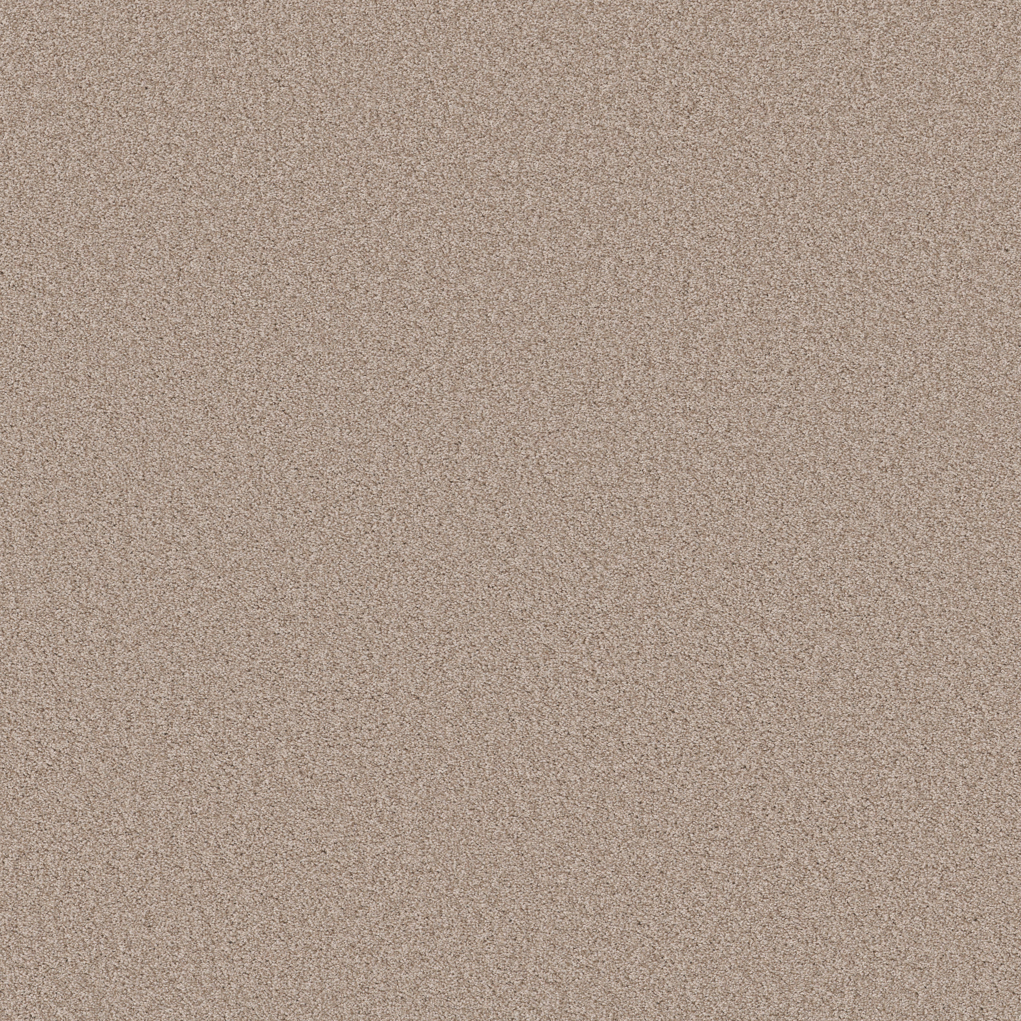 HARMONIOUS I HEIRLOOM MAIN