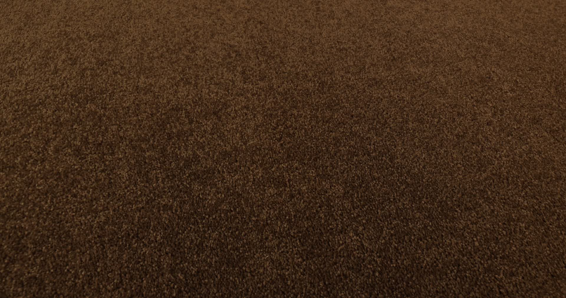 ULTIMATE EXPRESSION 15' TORTOISE SHELL 360PROD