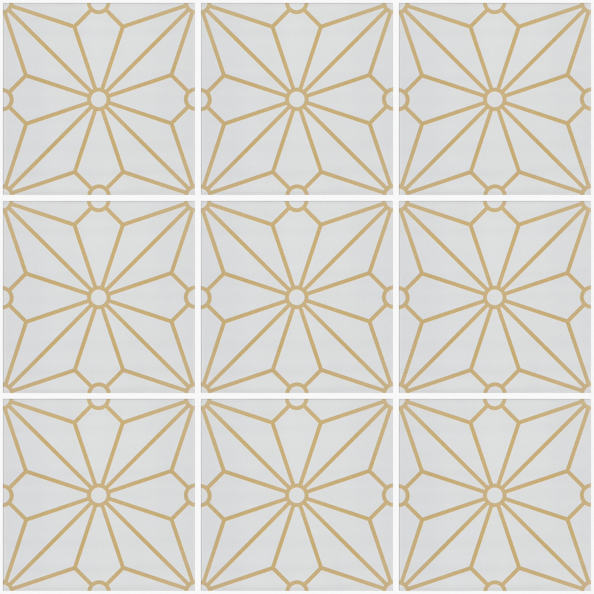 COSMOS 8X8 APOLLO MAIN