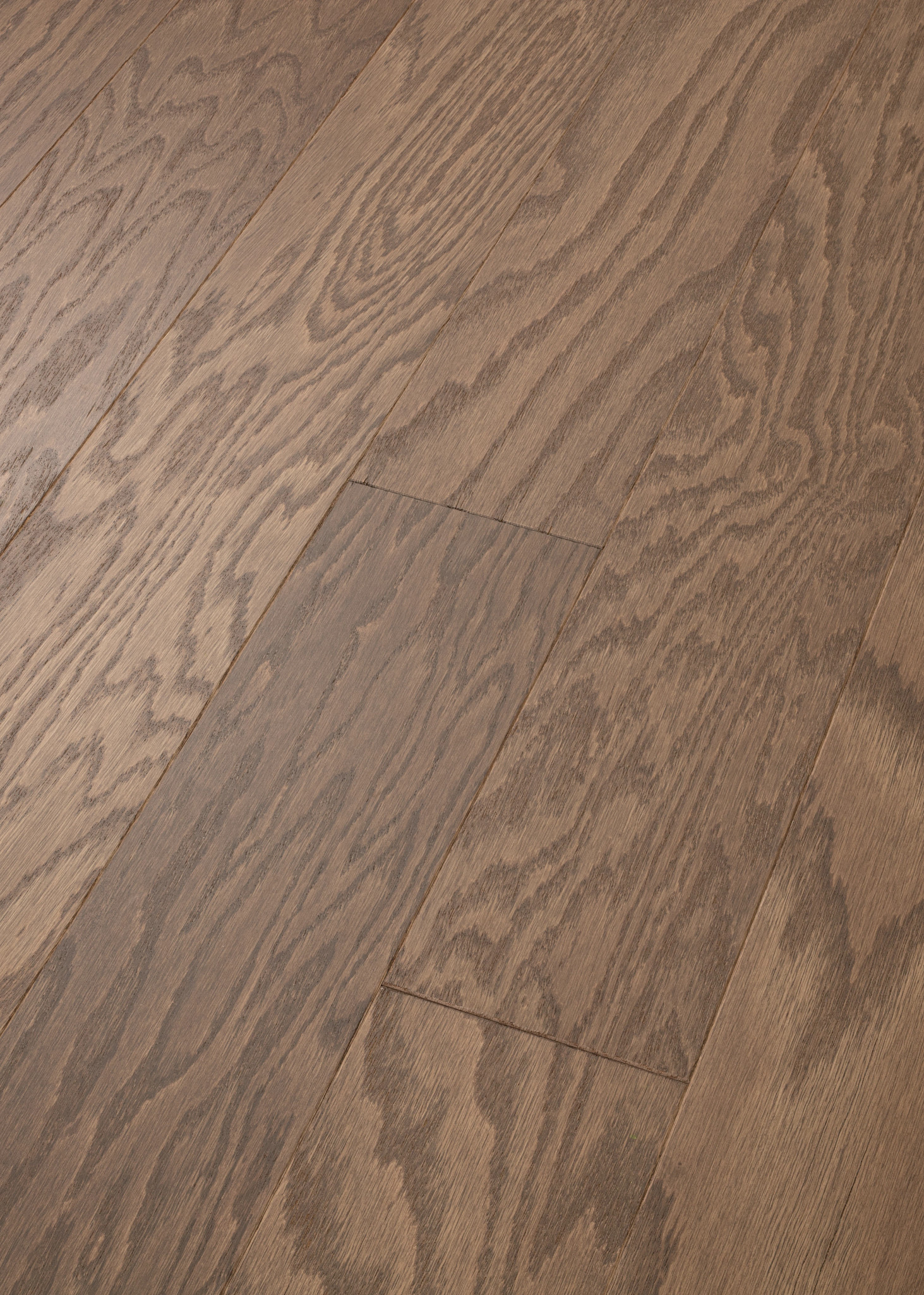 ALBRIGHT OAK 5 FLAX SEED LG ANGLED