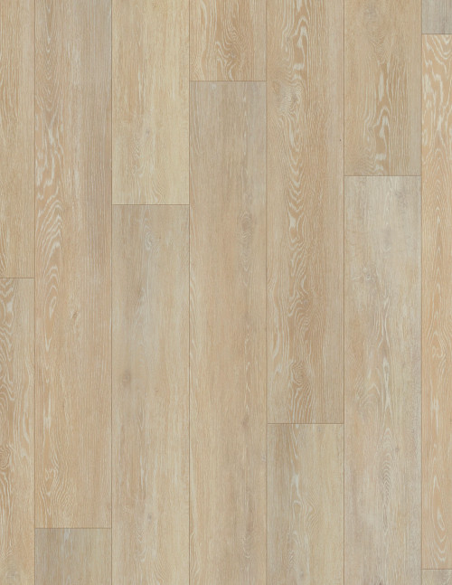 Ivory Coast Oak