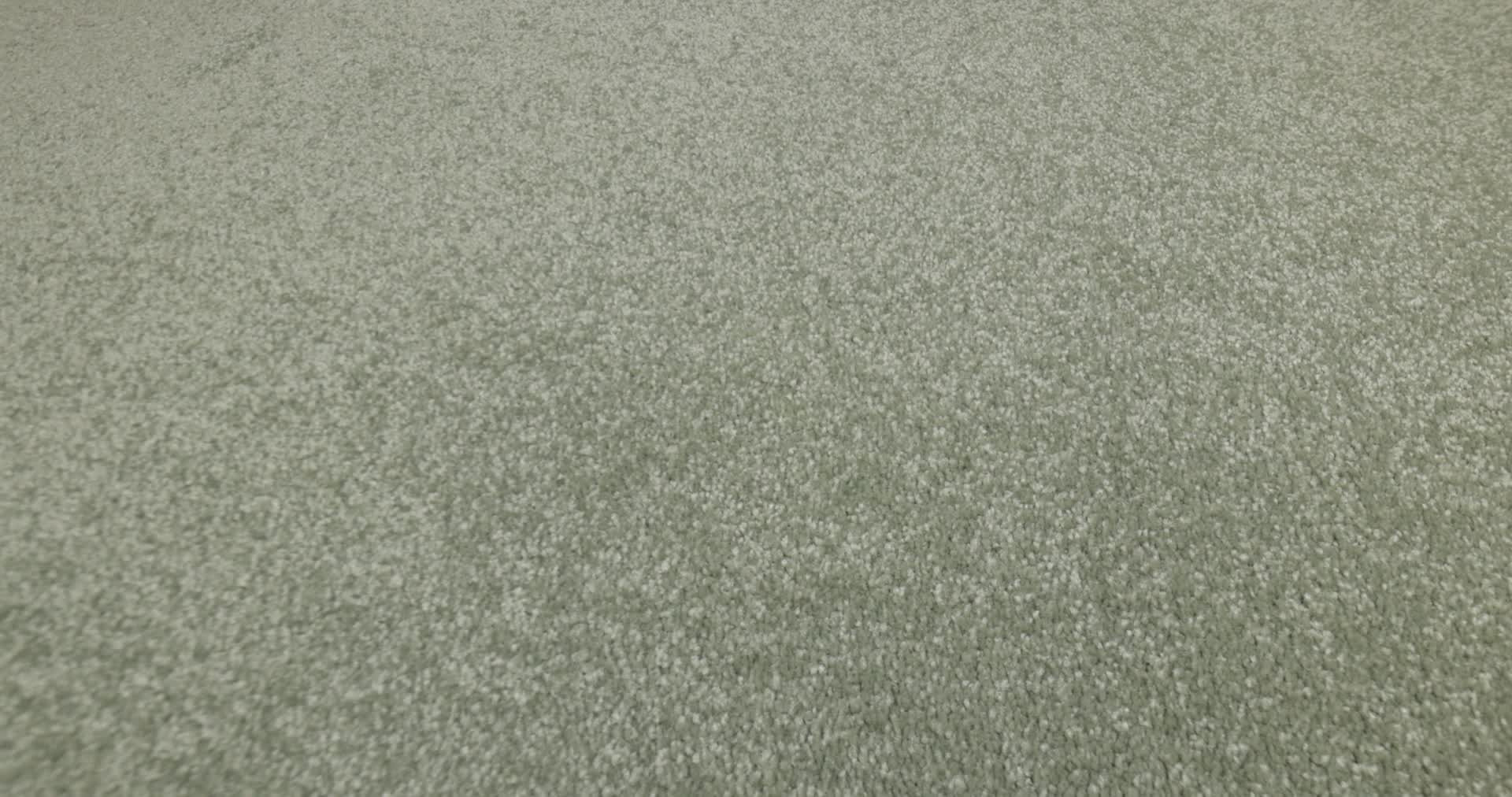 AWAKEN SPIRIT II 12' OLIVE TREE 360PROD