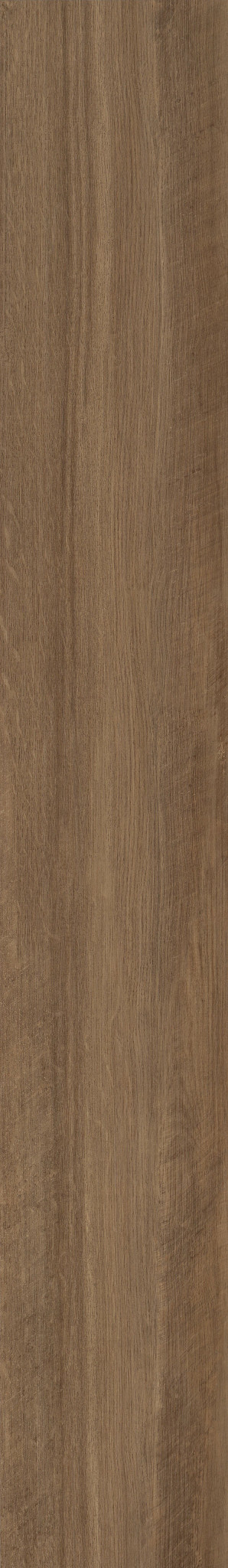 Tawny Oak
