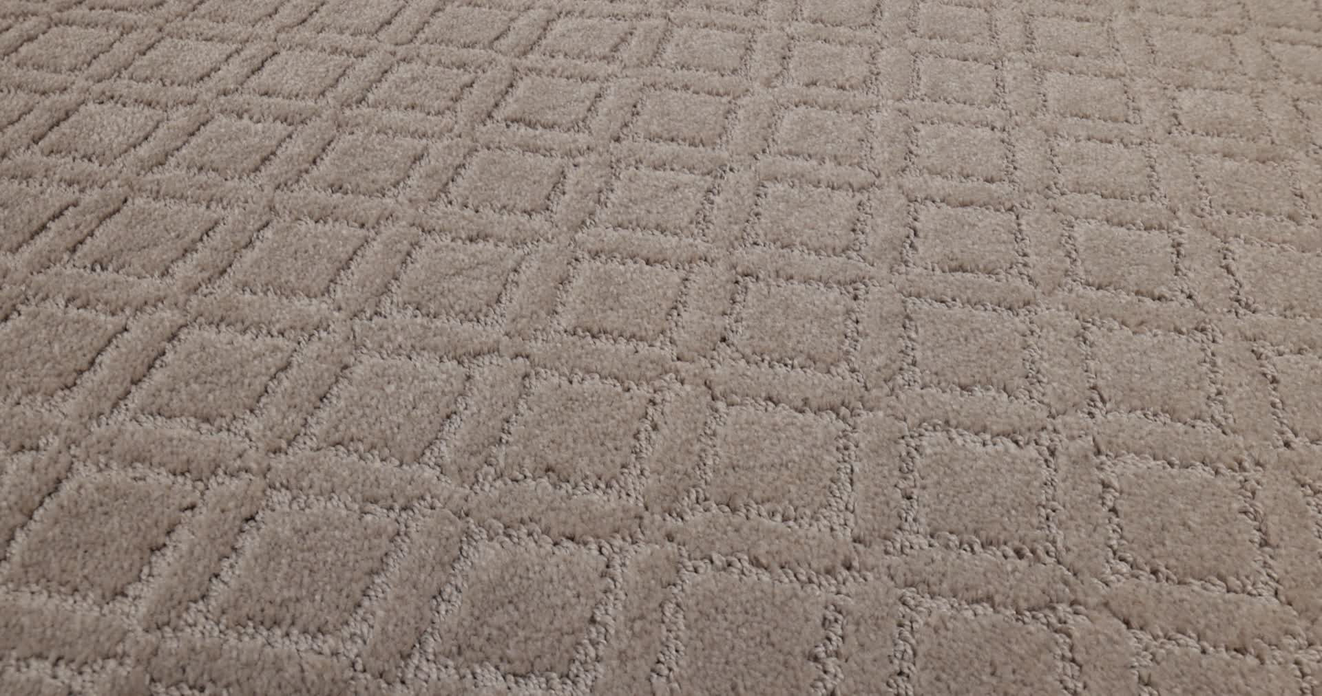 MUSE SOCIALITE 360PROD