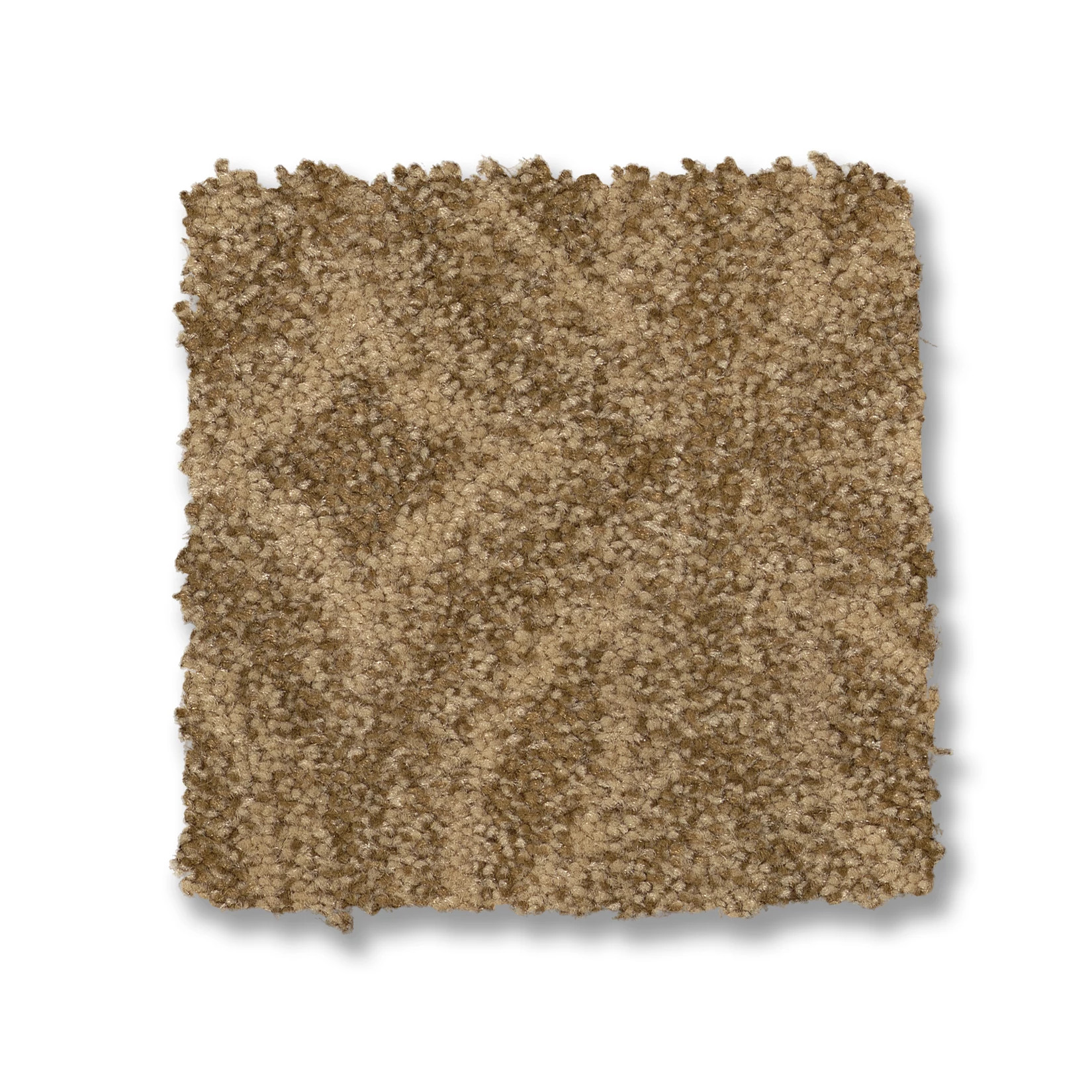 ENLIGHTENED SUMMERWOOD SWATCH