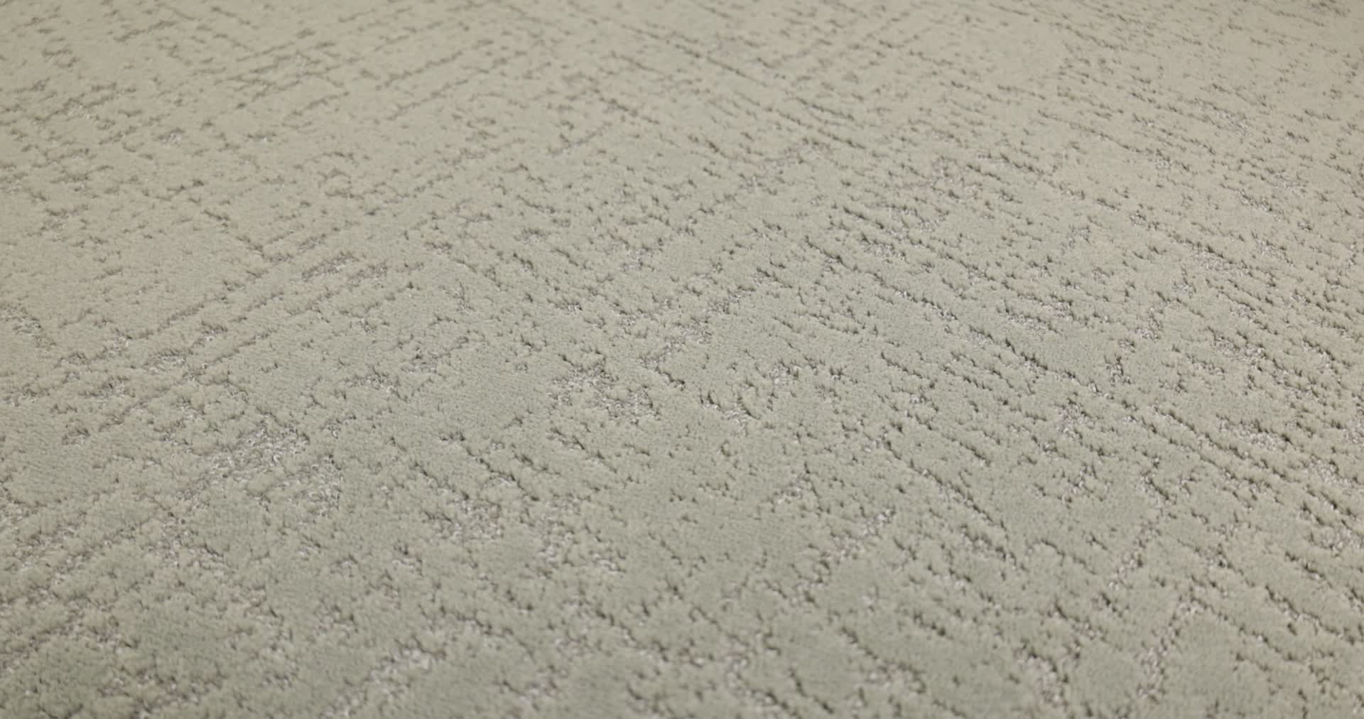 SINCERE FOCUS ORGANIC GROWN 360PROD