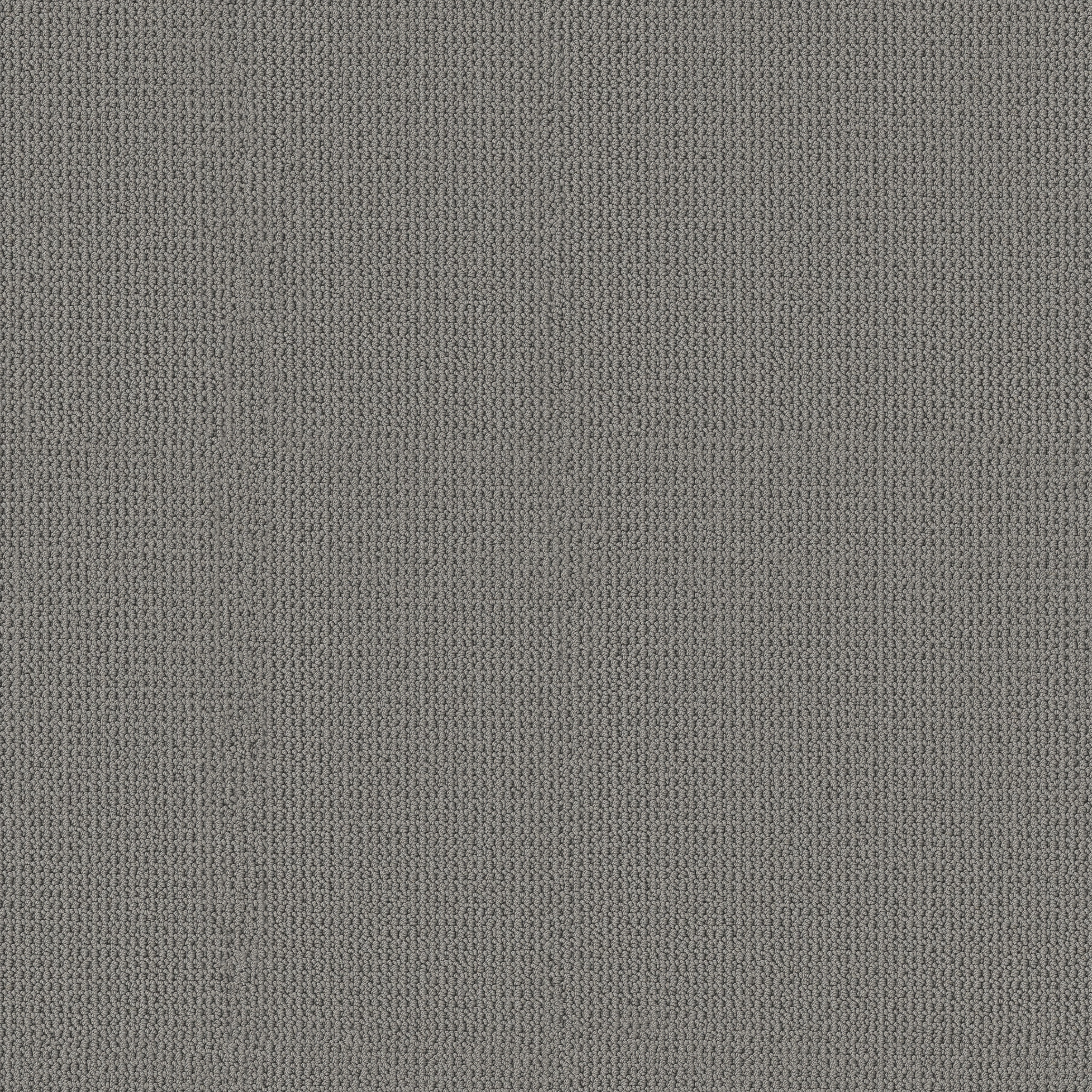 ARDEN PARK STORMY MAIN