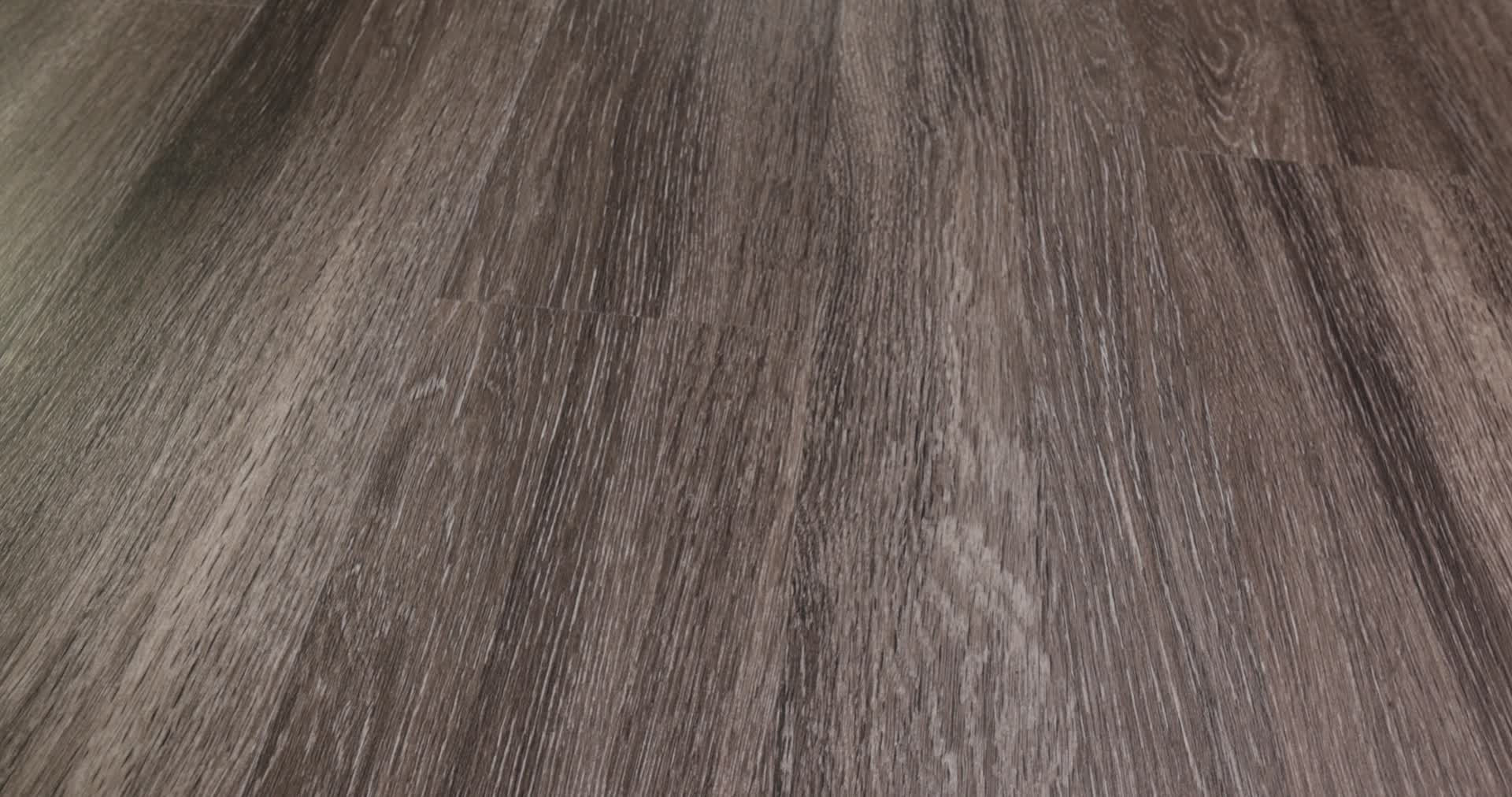 WORLD'S FAIR 6 II DUBLIN 360PROD