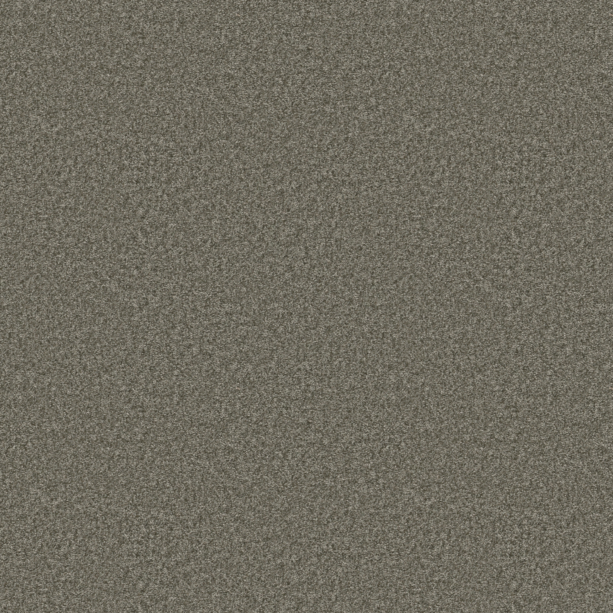 YOU GOT THIS II REROOTED NATURE MAIN