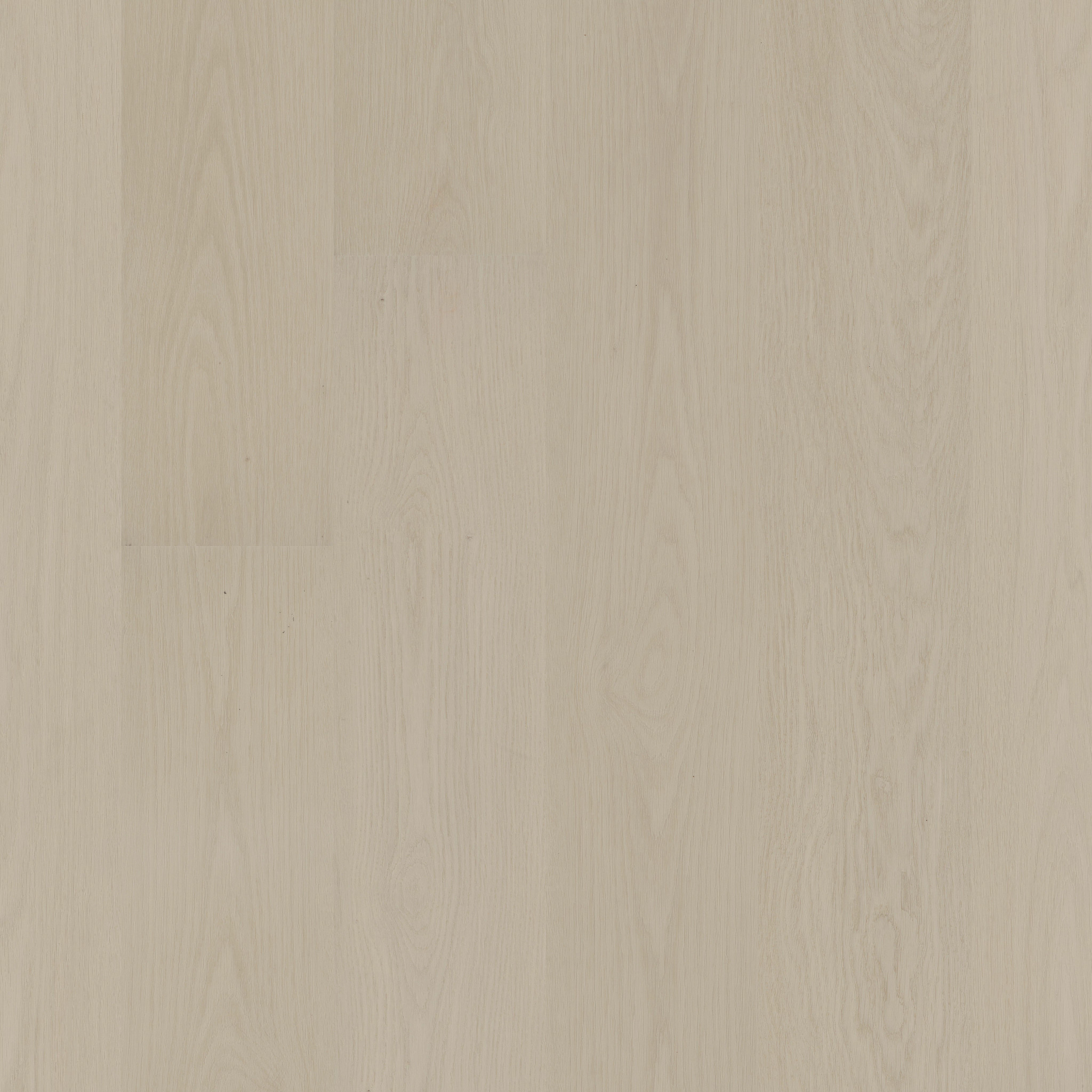 PROVENANCE DELICATE OAK MAIN
