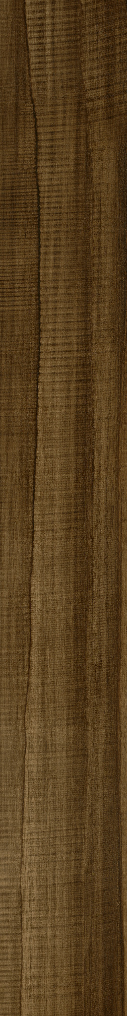 Corten