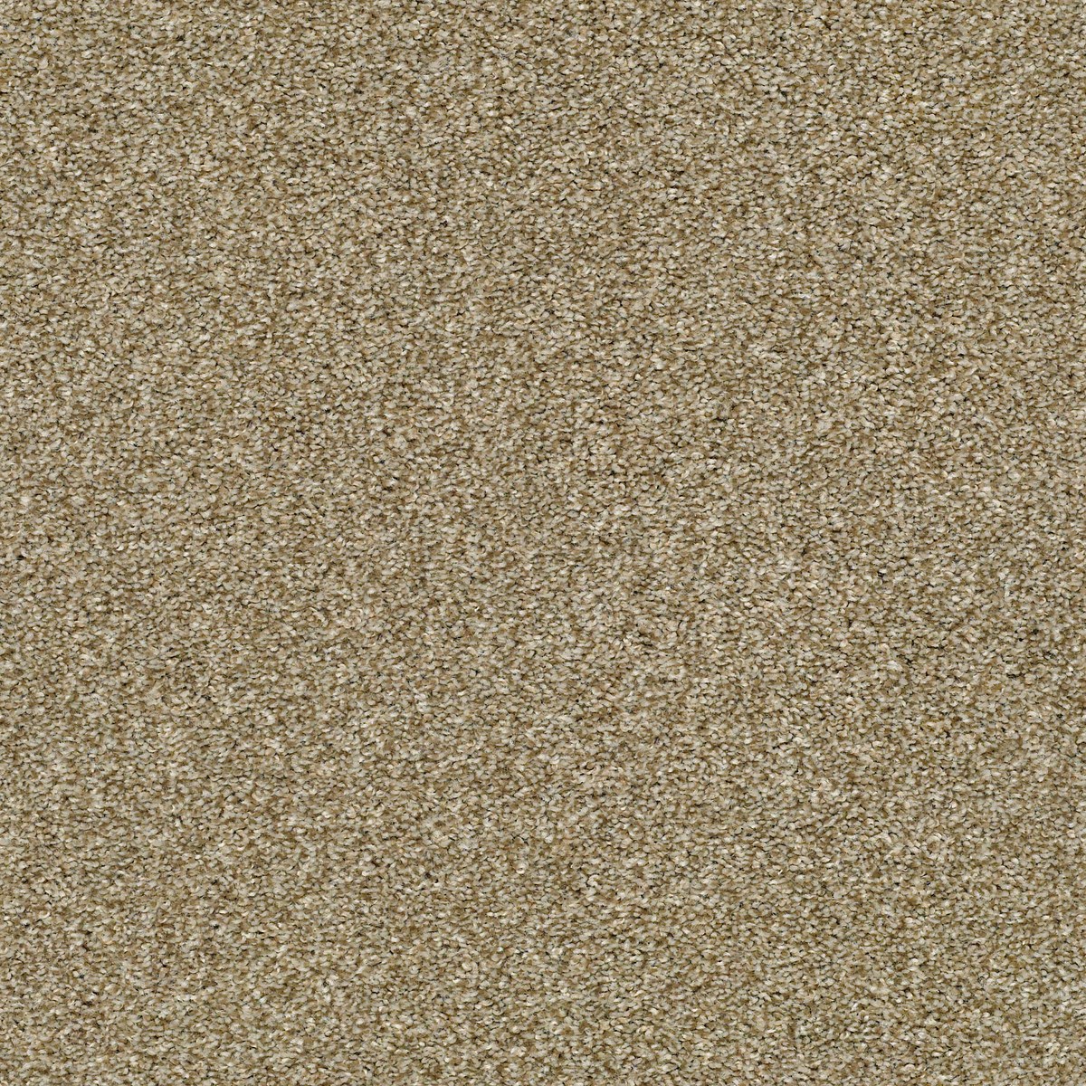 CABANA LIFE (T) — DRIED CLAY