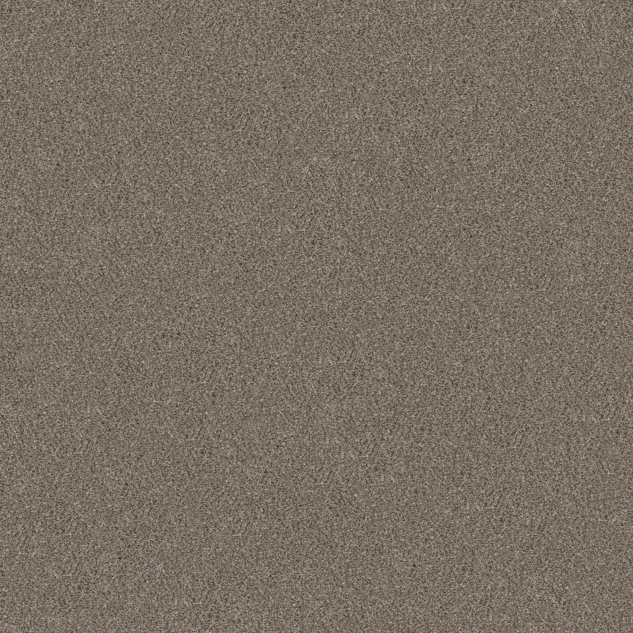 WITHOUT LIMITS III SADDLE TAN MAIN