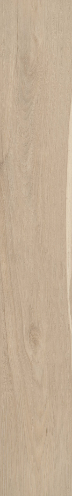 PANTHEON HD+ NATURAL BEVEL ALABASTER 1TO1