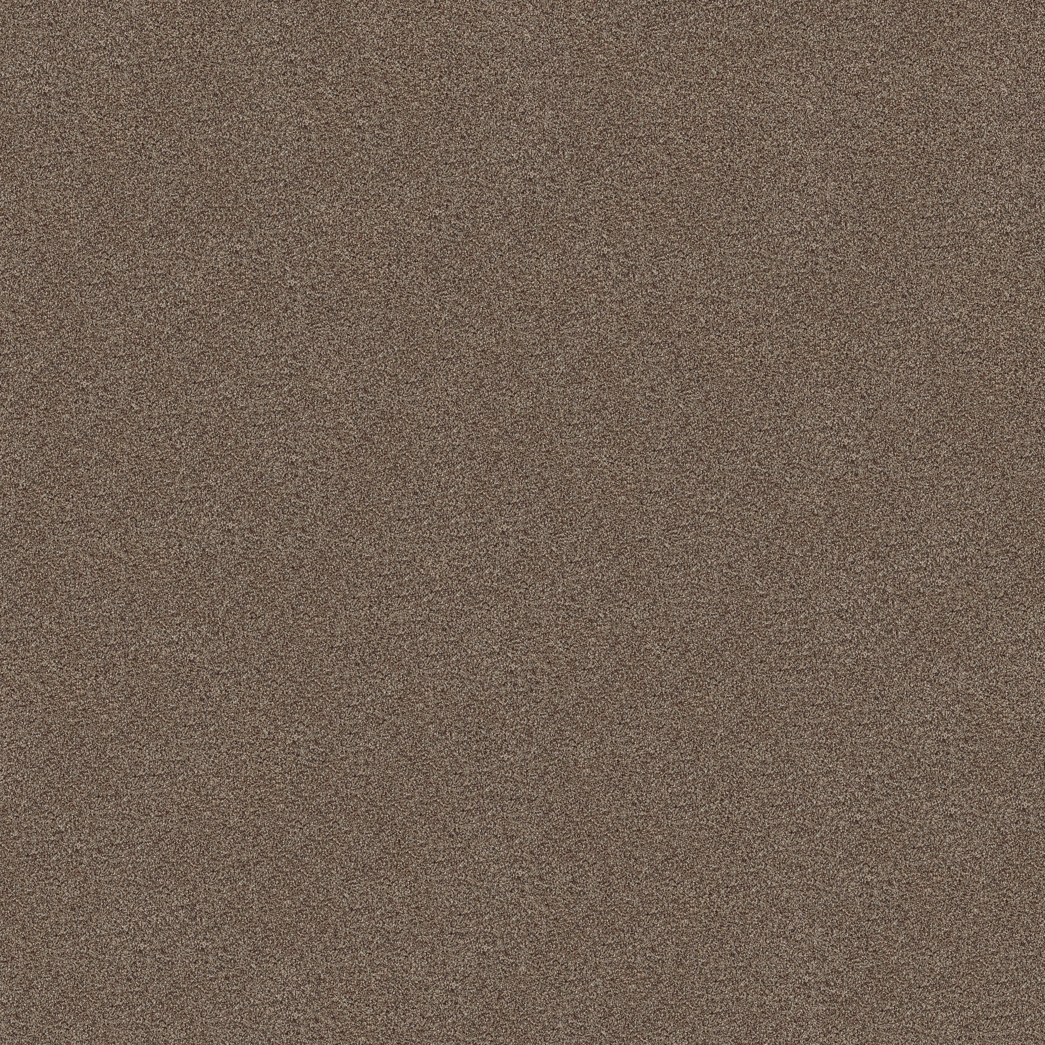 TONAL COMFORT I SUMMER HOUSE MAIN