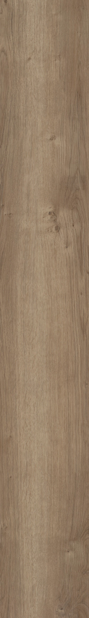 Copano Oak