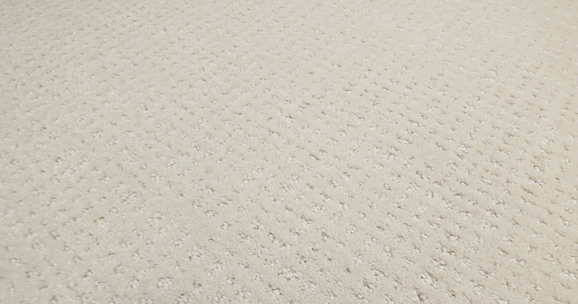 VIVID MEMORIES HAPPY PLACE 360PROD