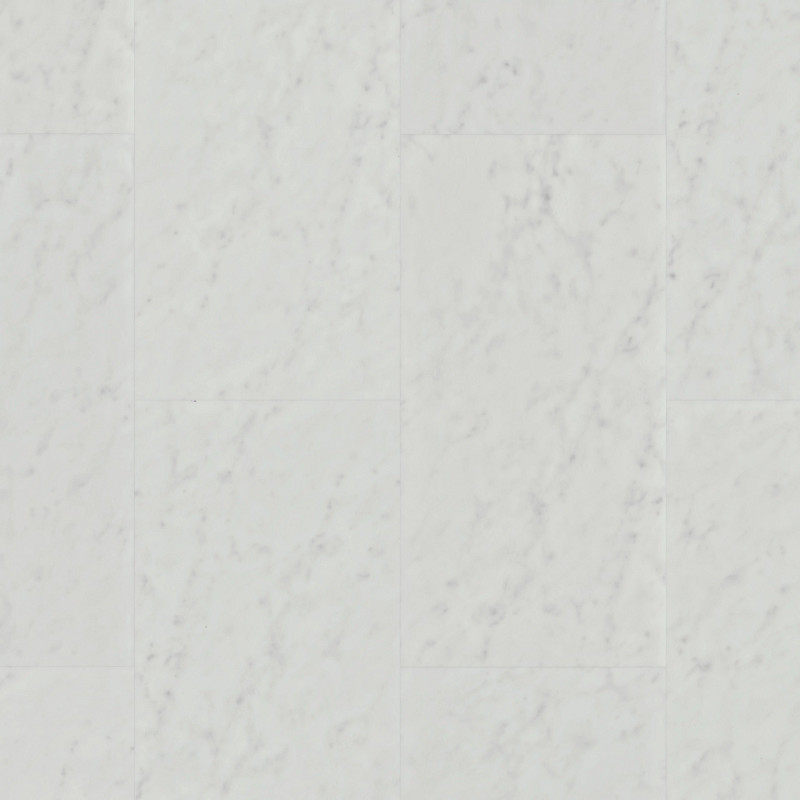 APEX in Arctic by Shaw Floors