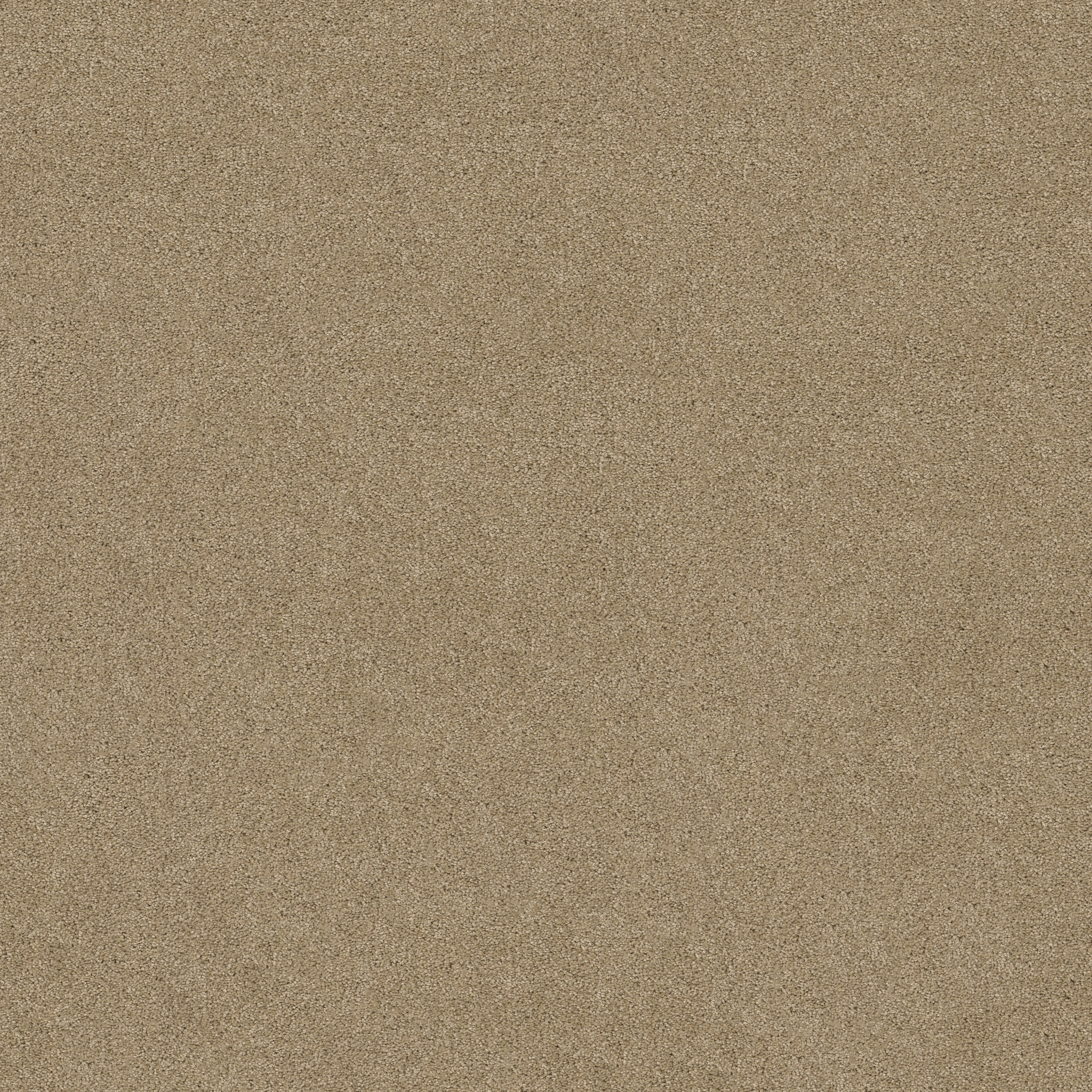 SOURCE MUSHROOM MAIN