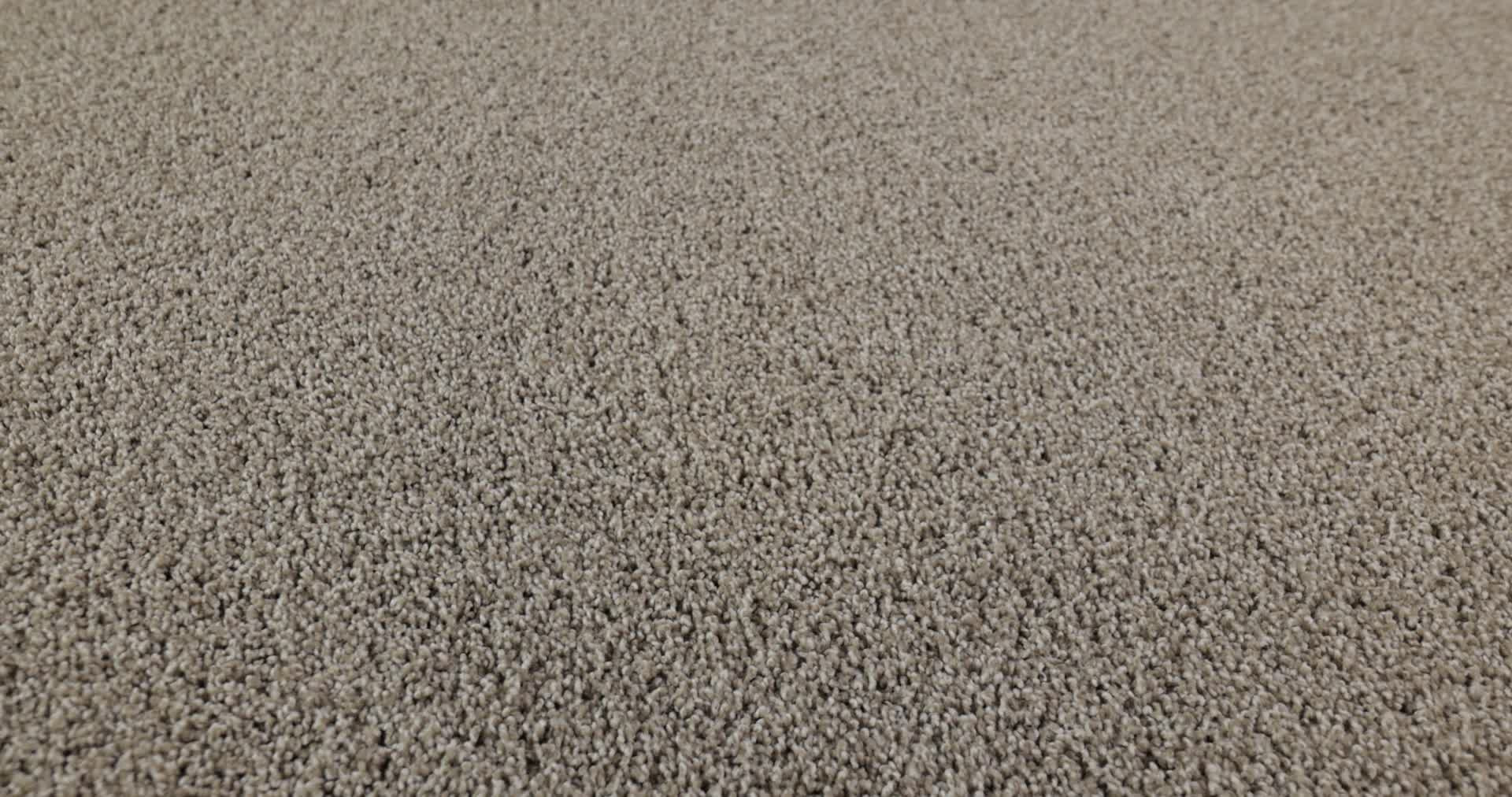 PARK HAVEN SHADOW 360PROD