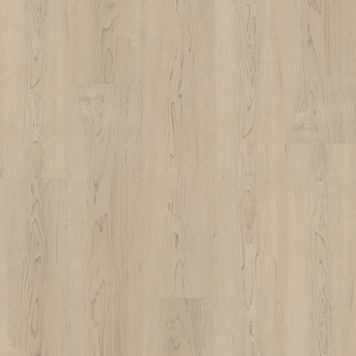 Honeyed Maple