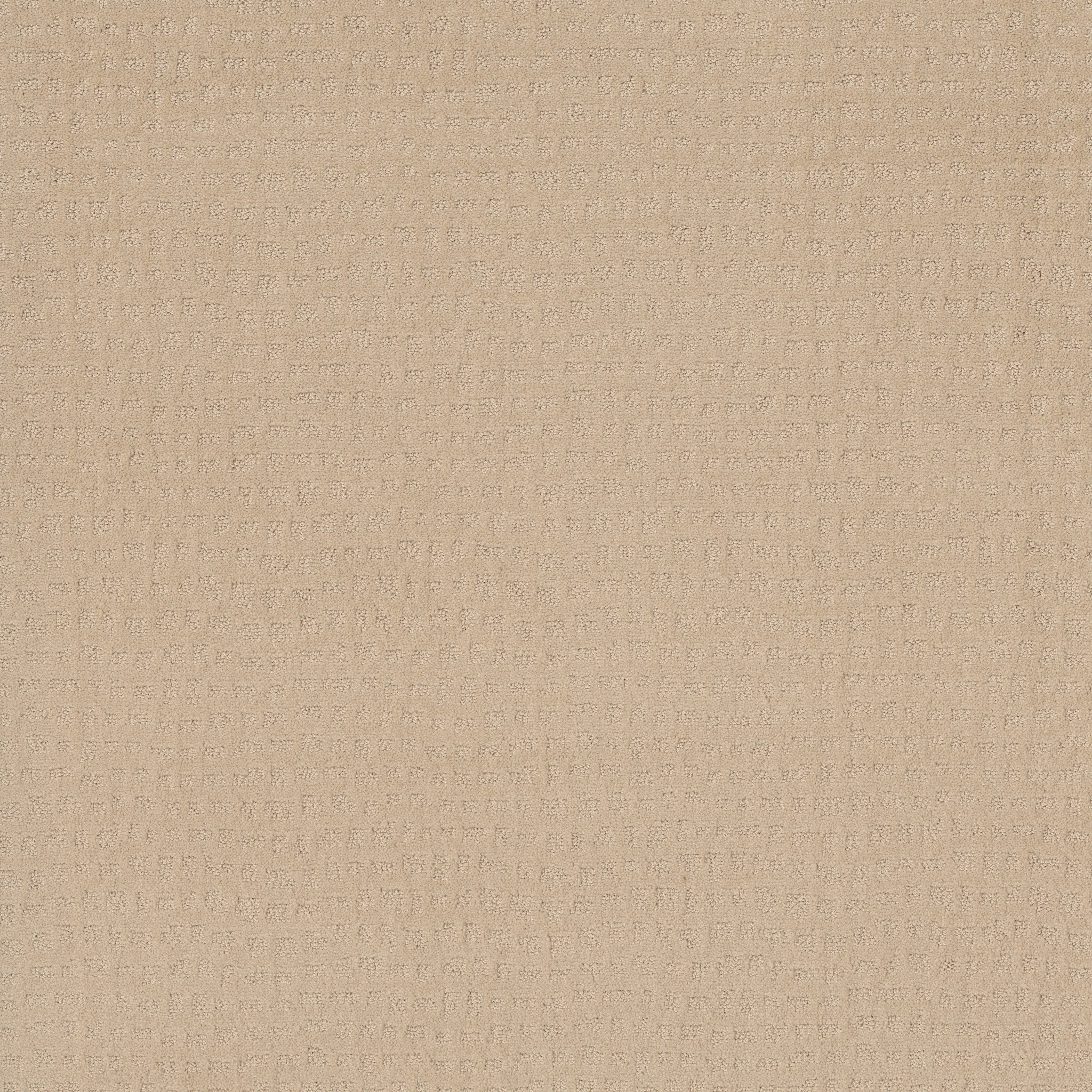 SOLSTICE CORNFLOWER MAIN