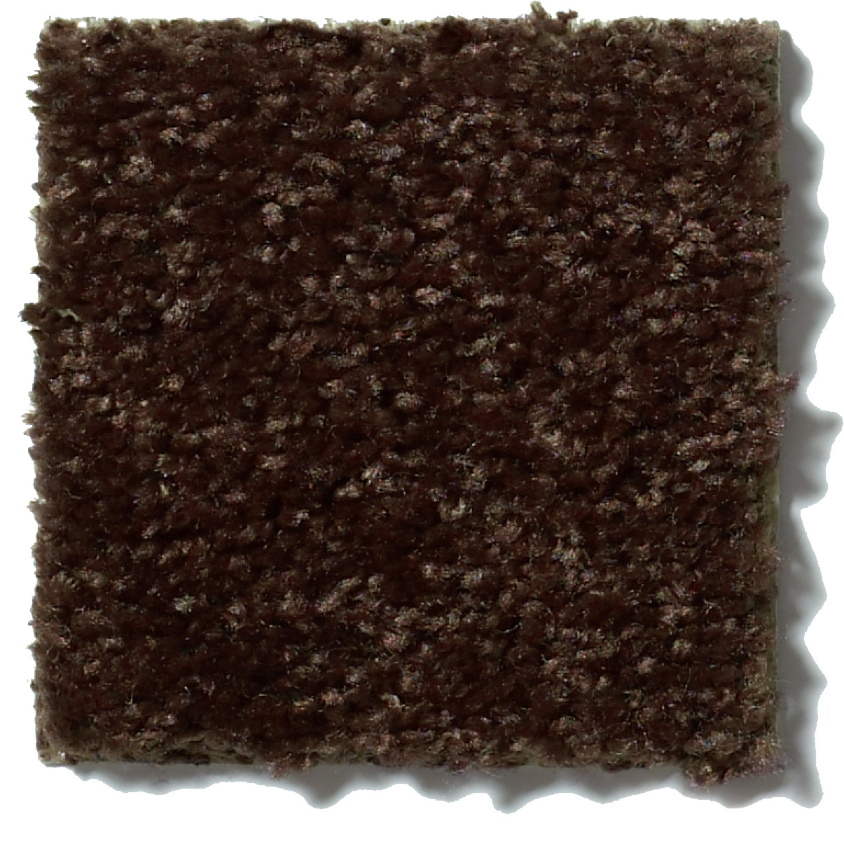 UNION CITY I 15 COFFEE BEAN SWATCH