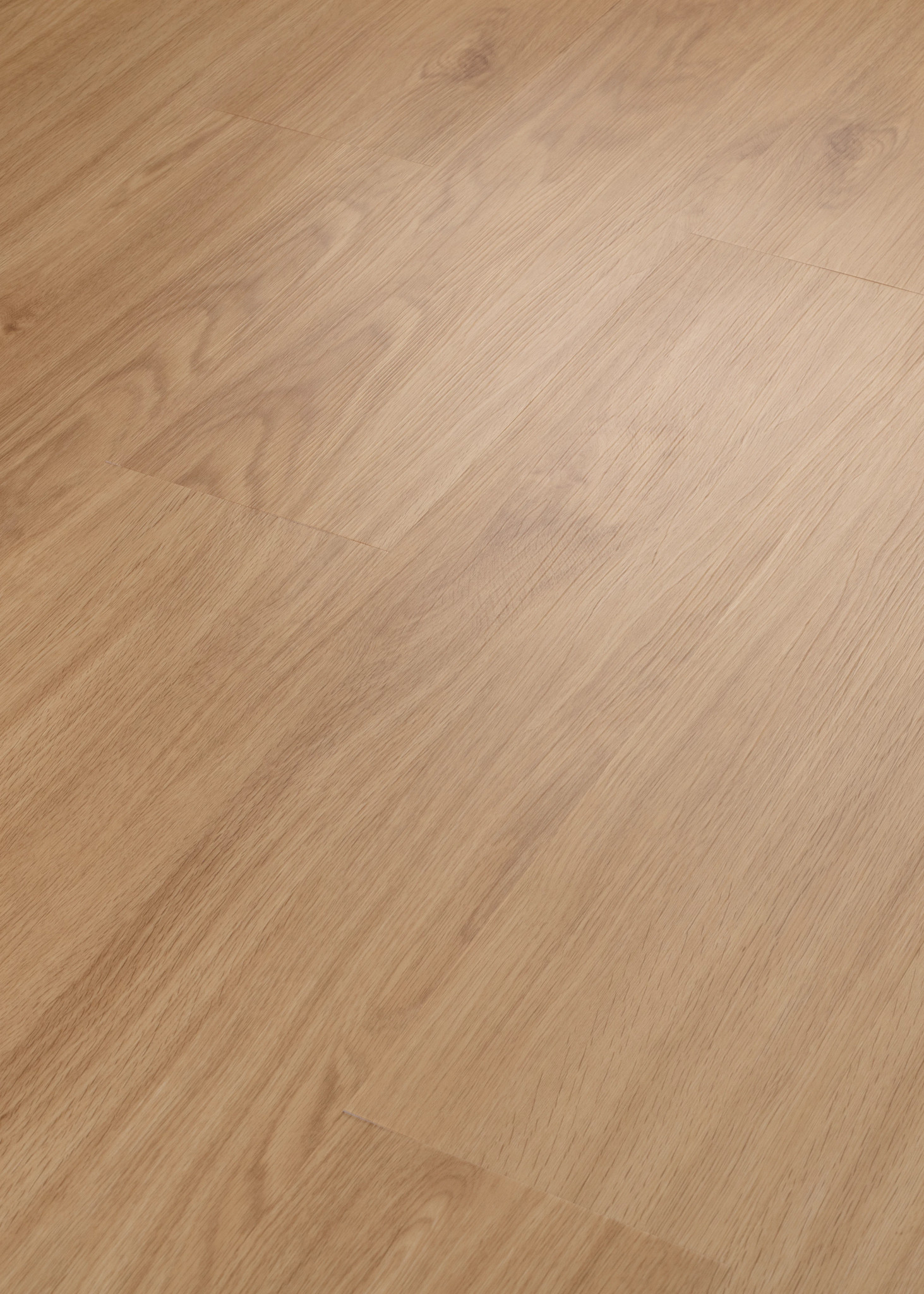 reiページ PDMS - SpecViewer