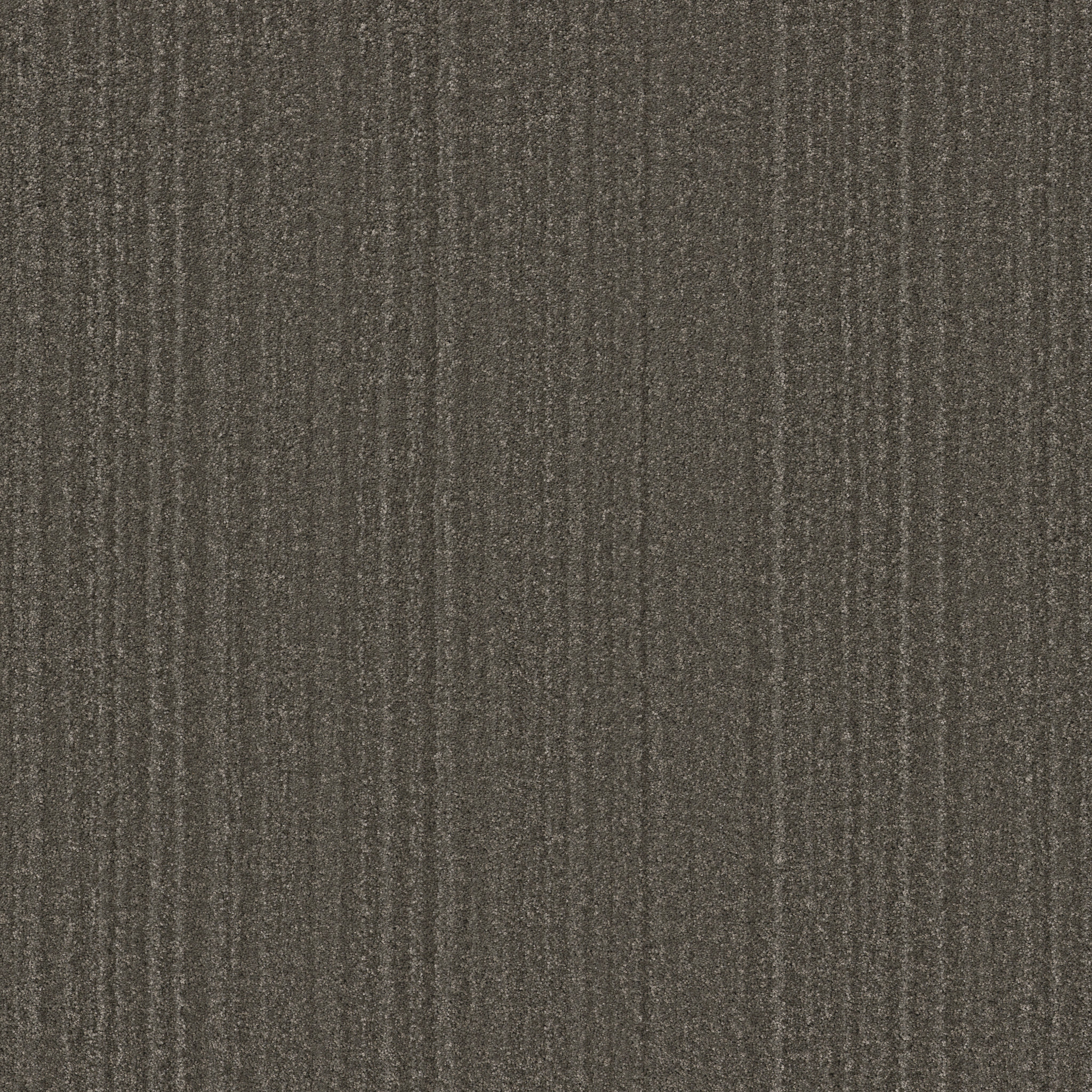 SERENE STRIA TREE BARK MAIN