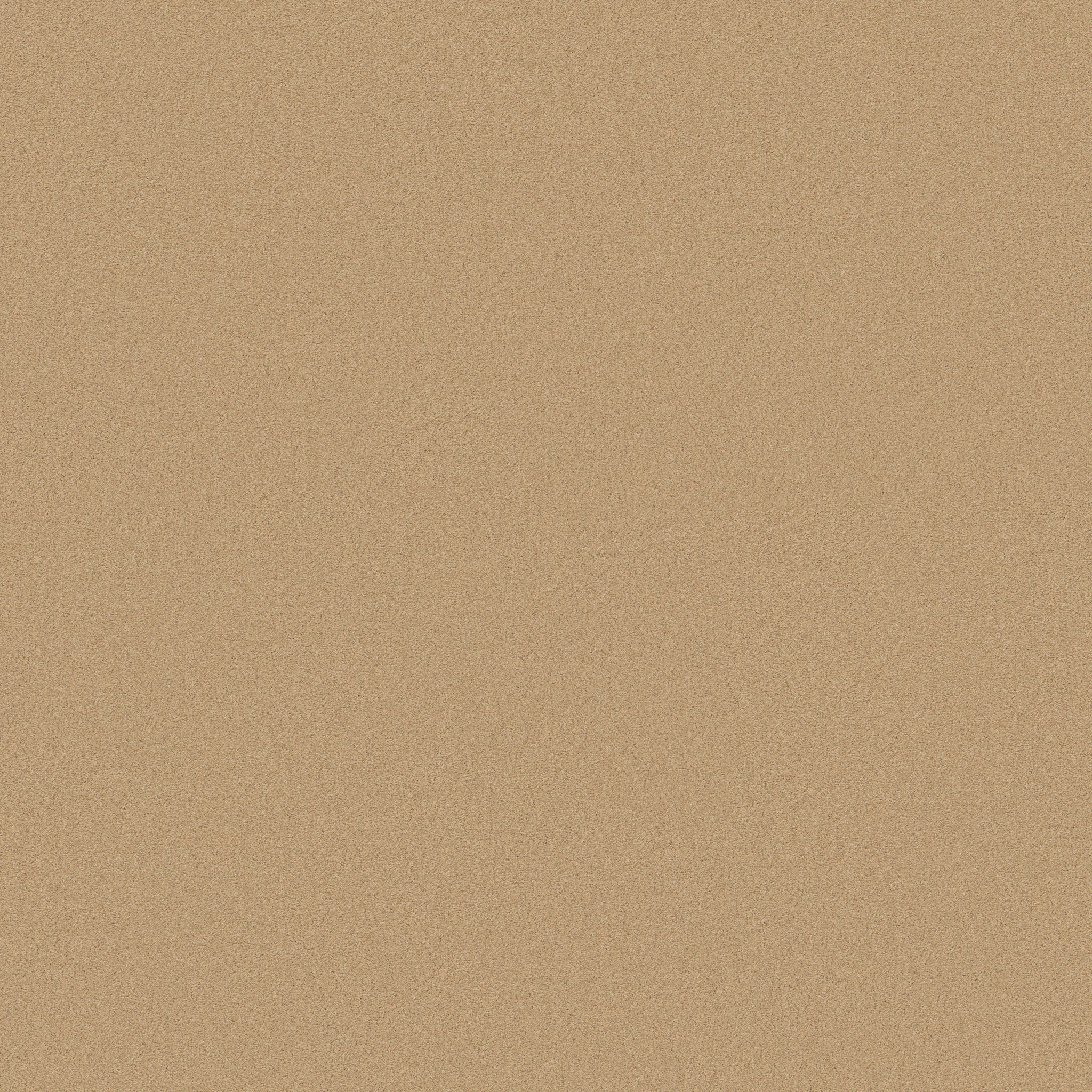 FINERY BUTTERCUP MAIN