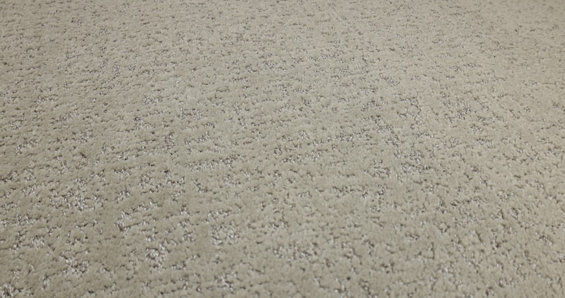 HOME WITHIN CHIC GREIGE 360PROD