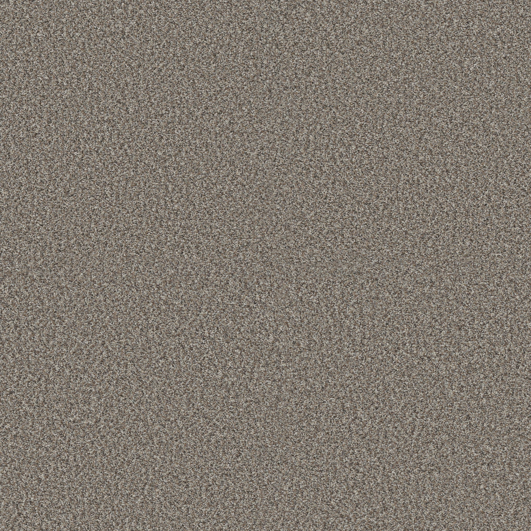 YES YOU CAN I 12' CHIC GREIGE MAIN