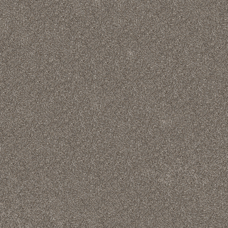 ELEVATED I in Coffee by Shaw Floors