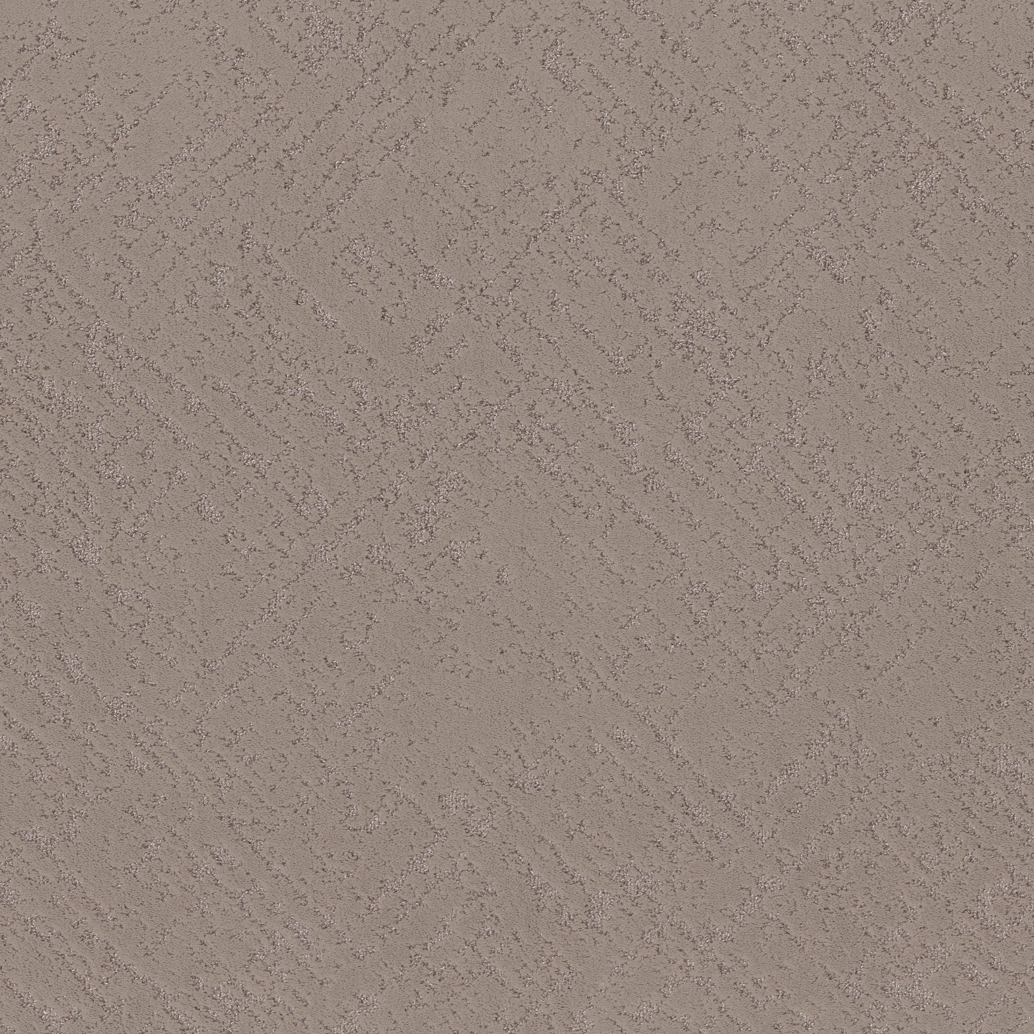 SINCERE FOCUS CHARMING TAN MAIN