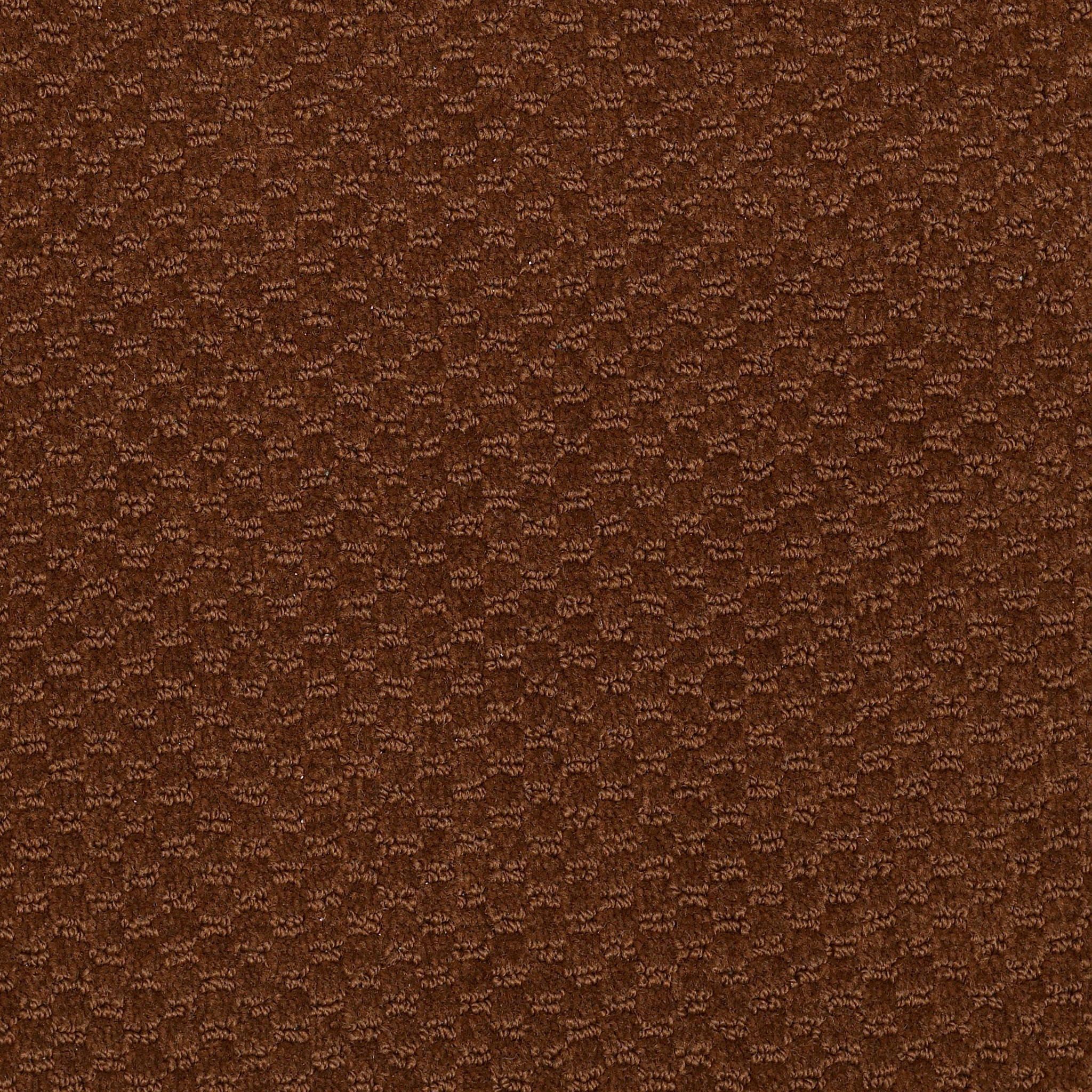 LATEST-TREND-54098-BROWN-BEAR-98751-main-image