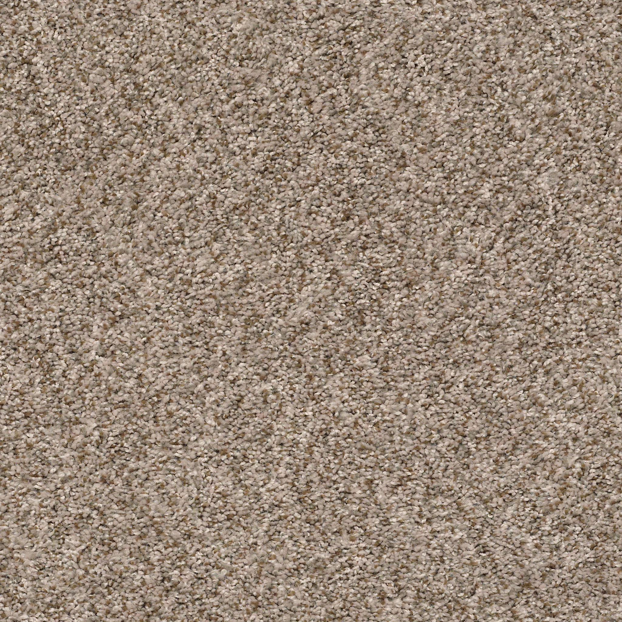 CABANA BAY (B) MESA MAIN