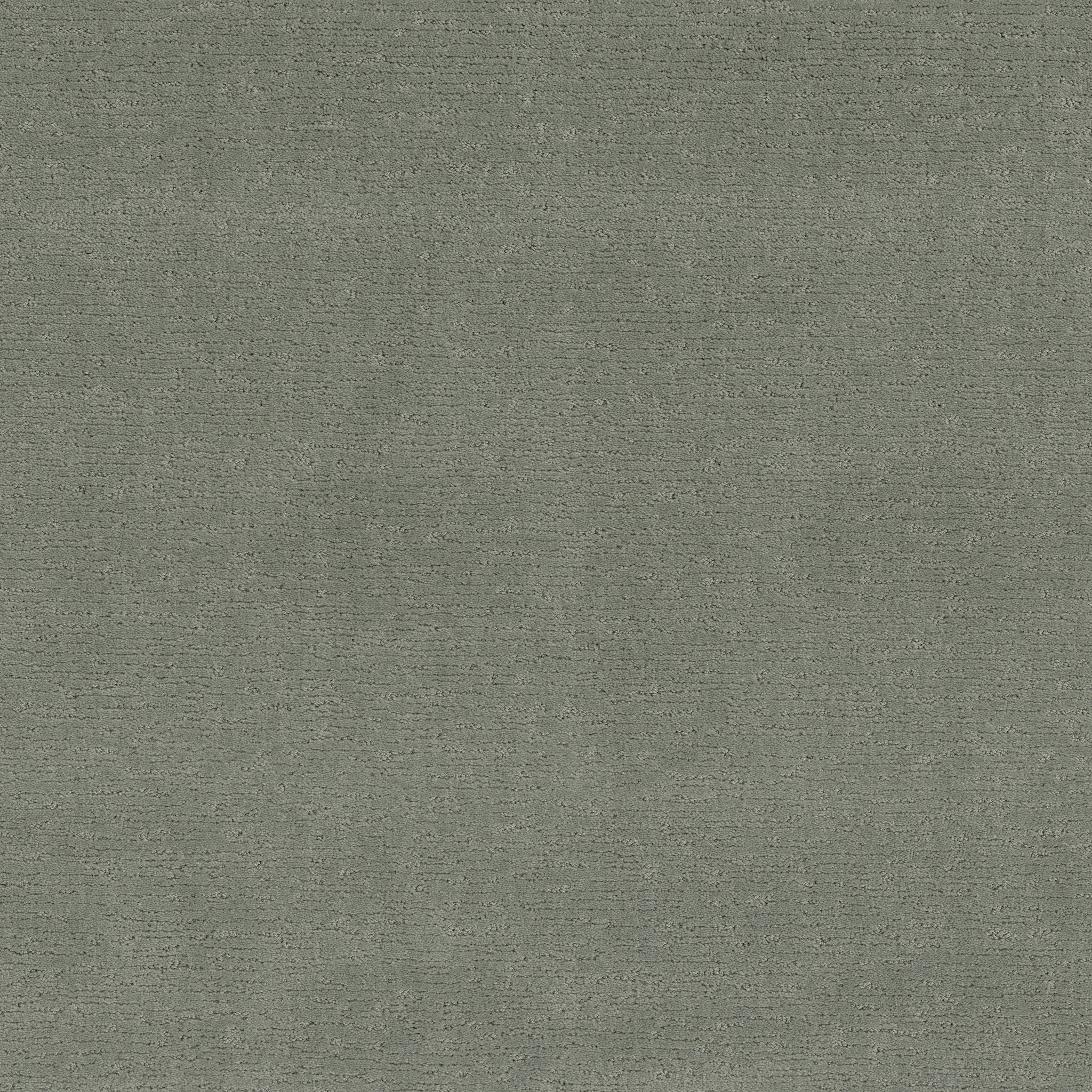 SKETCH PINE FOREST MAIN